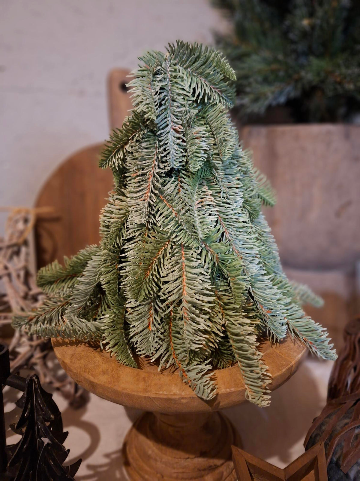 Nobilis Kerstboom