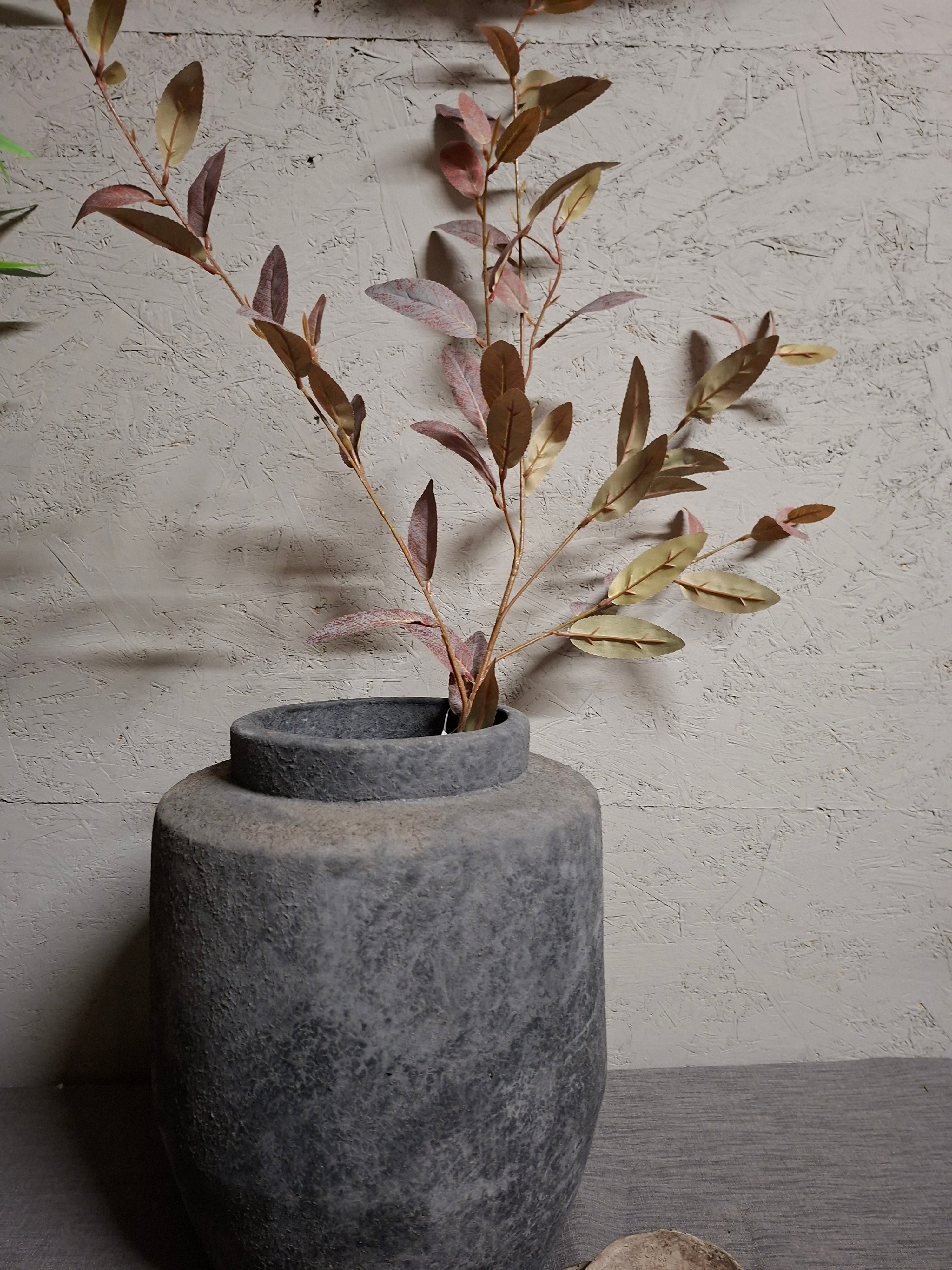 Zijdebloem Salix green purple Brynxz