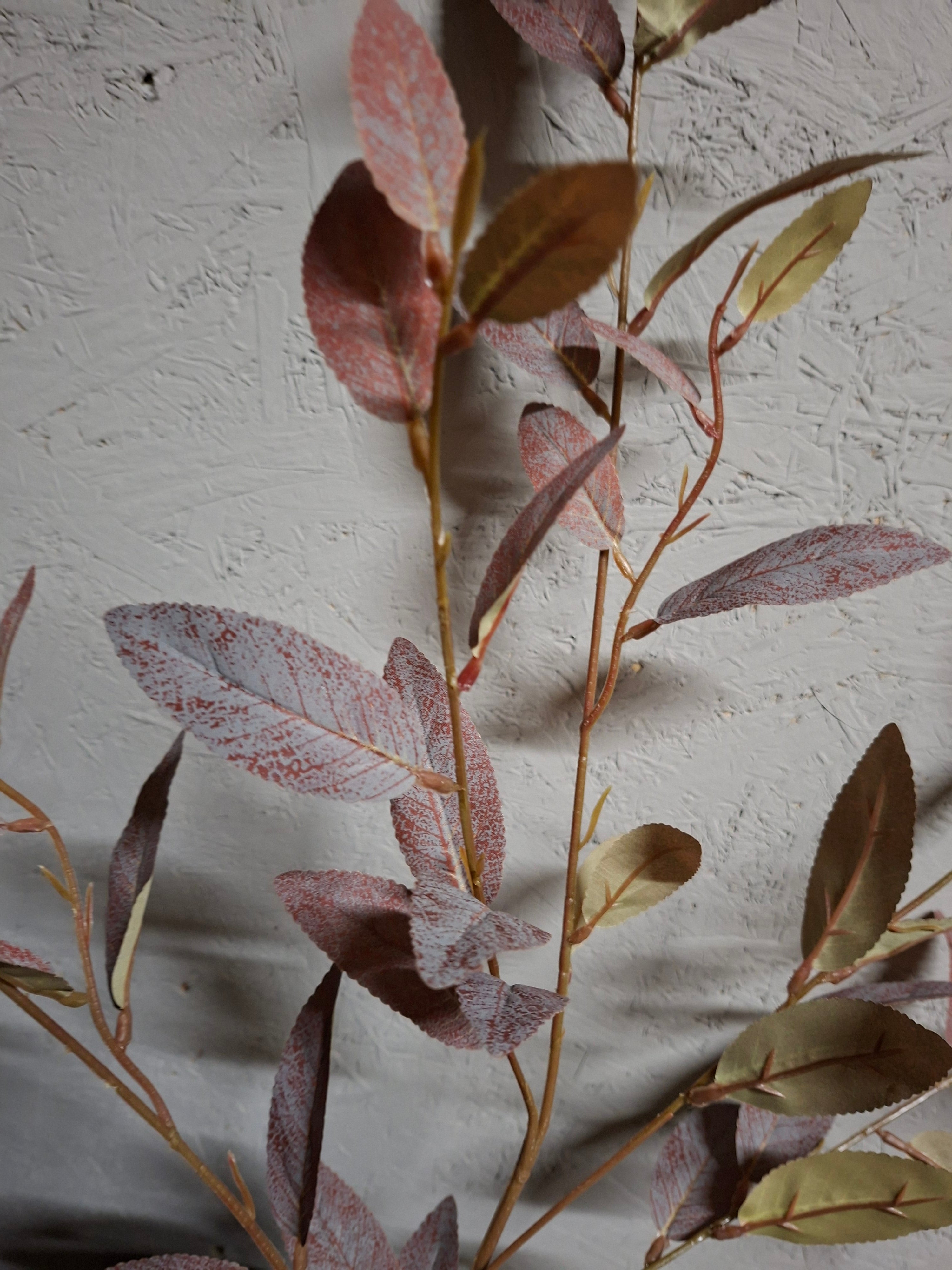 Zijdebloem Salix green purple Brynxz