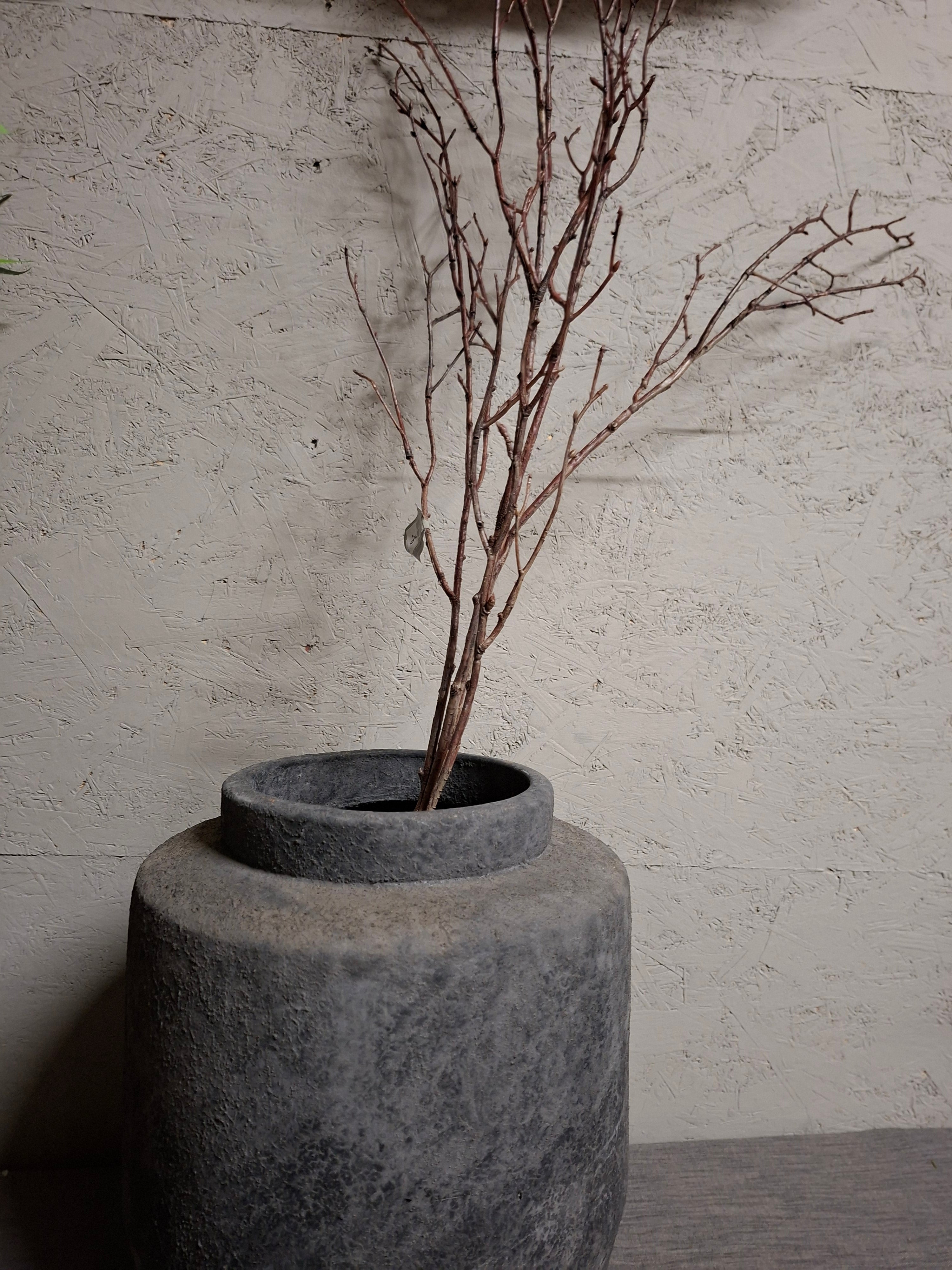 Twig tak natural van Brynxz