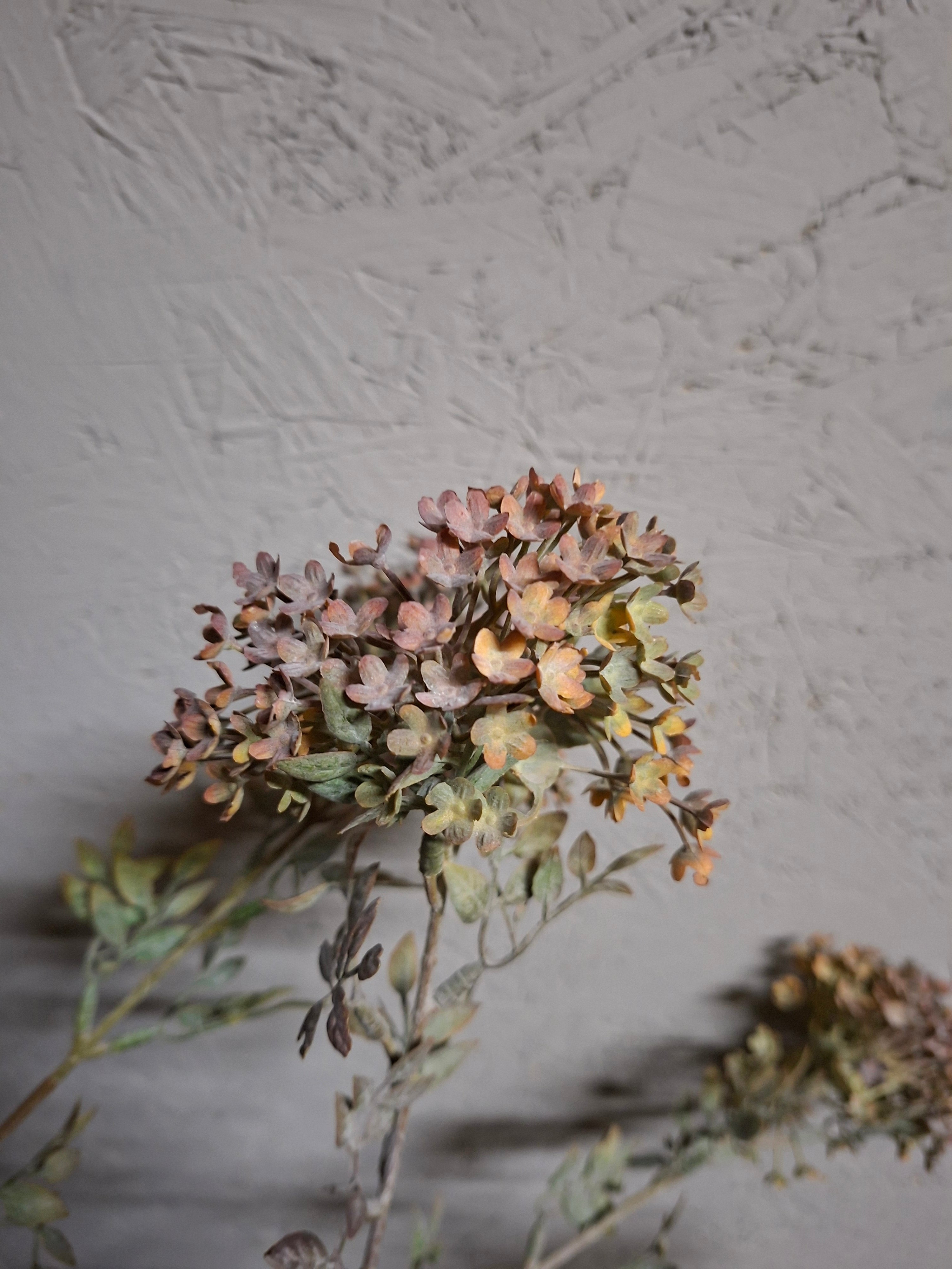 Zijdebloem Stem Grey van Brynxz