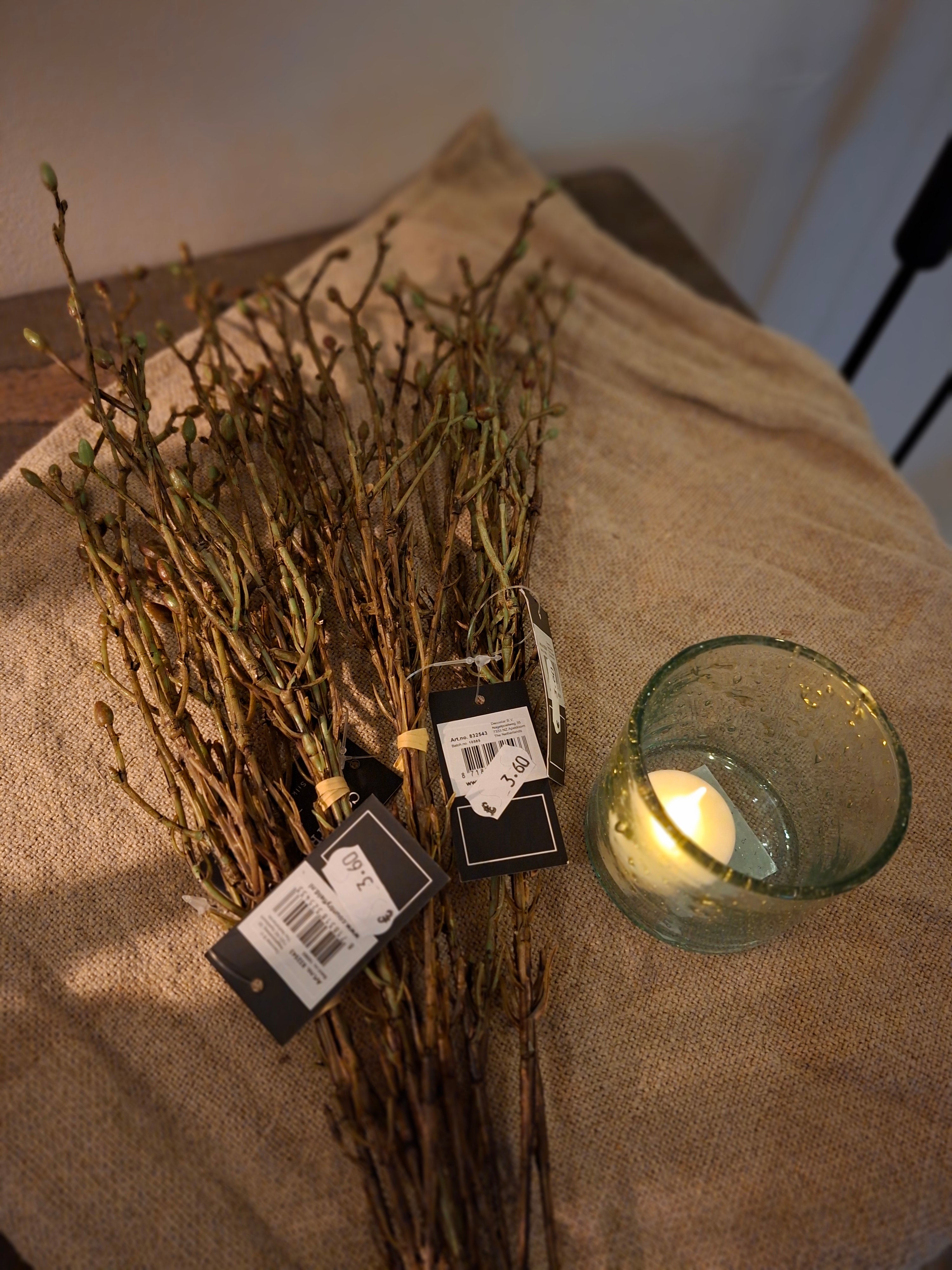 Bruine tak voor tussen de tulpen