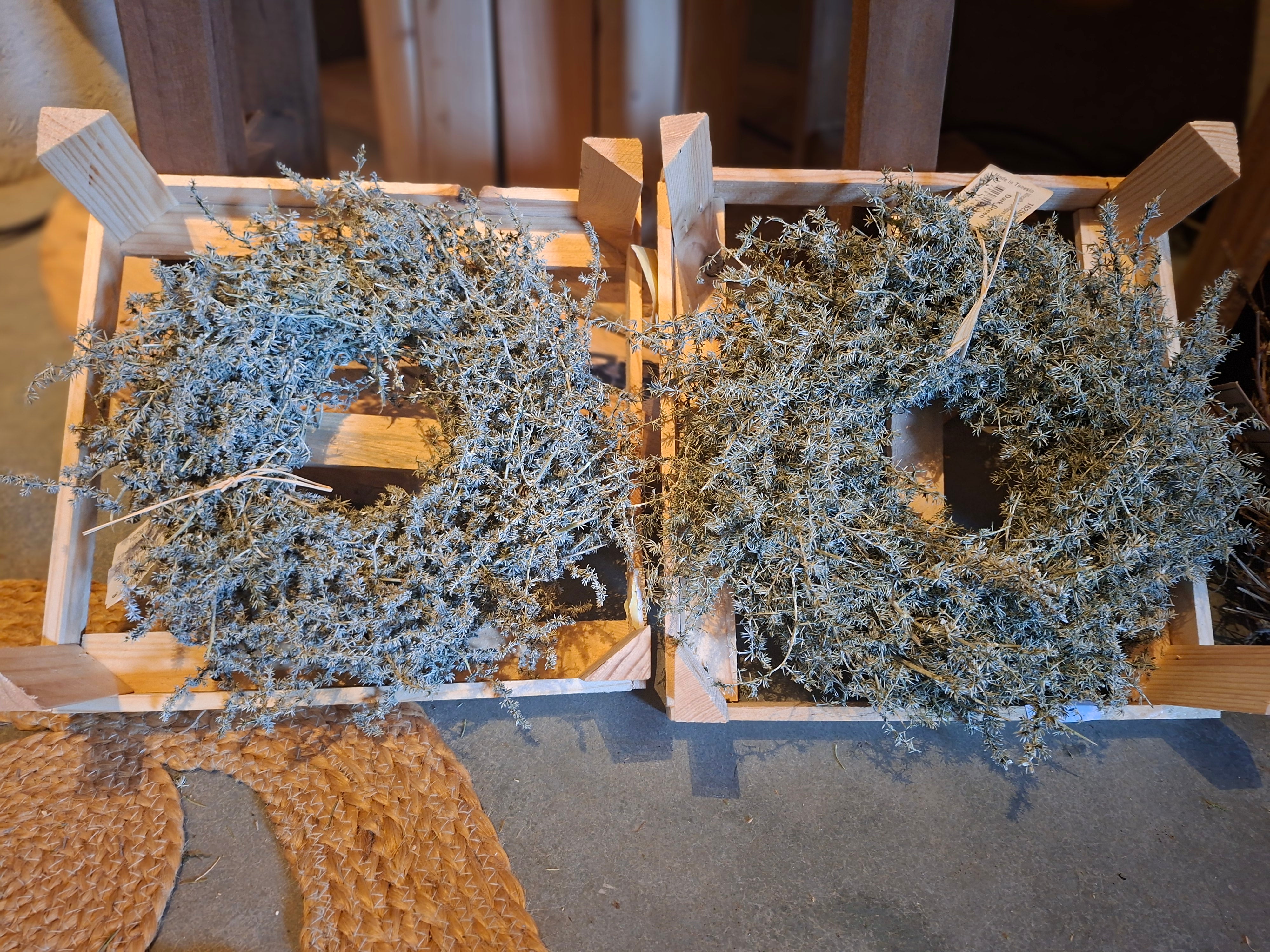 Asparagus wax krans 30cm