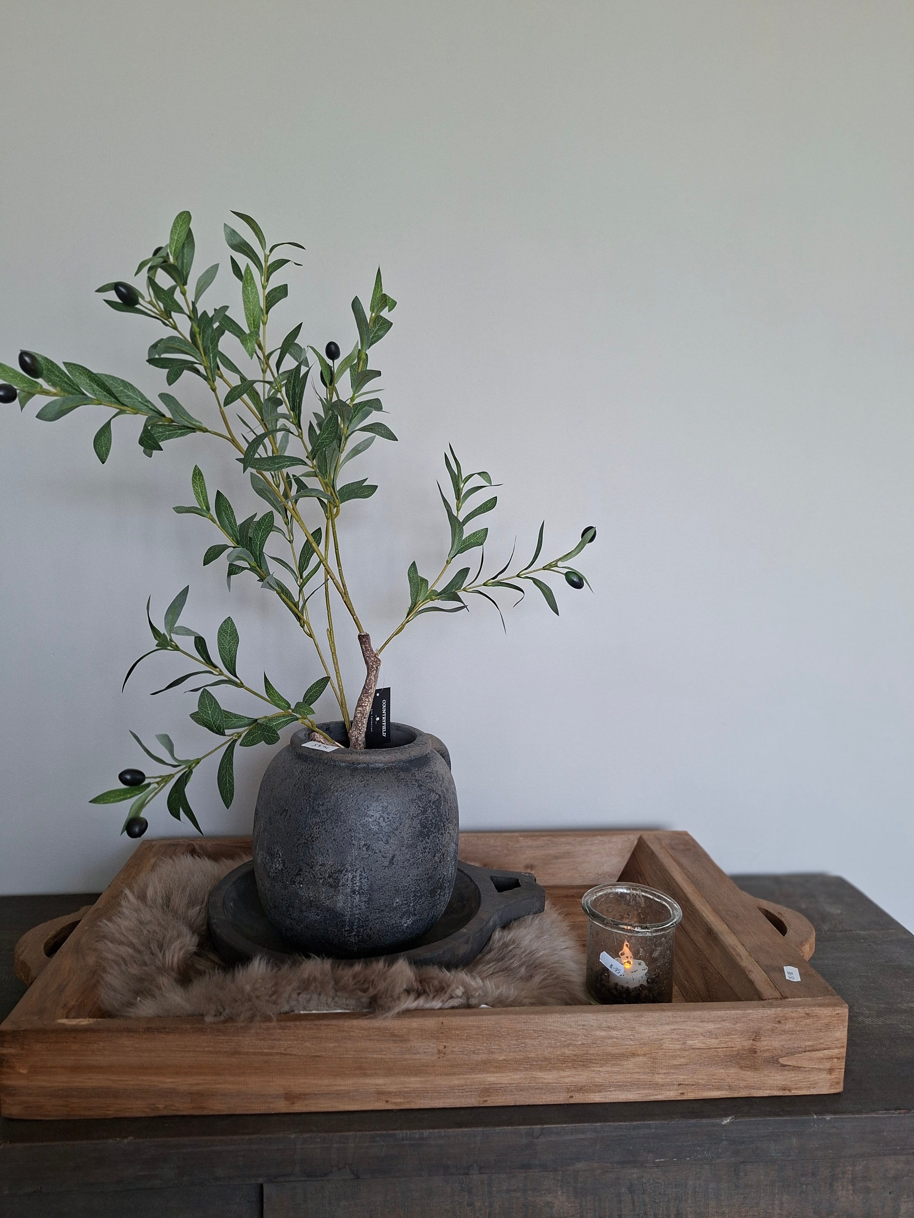 Zijde Olijfboom