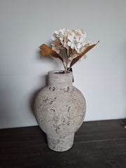 Witte Hortensia