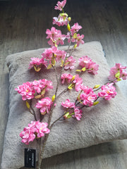 Zijdebloem Roze bloemen