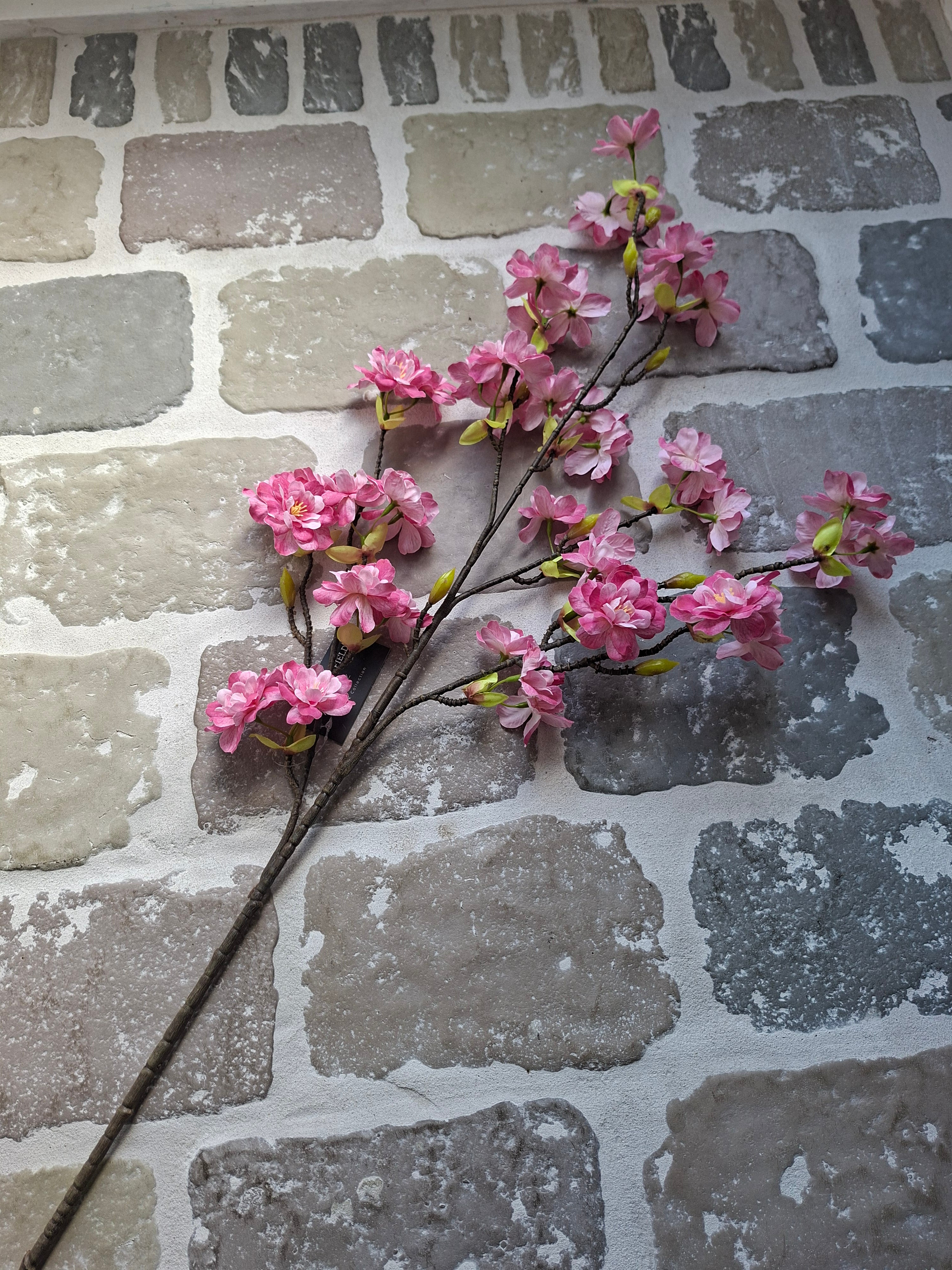 Zijdebloem Roze bloemen