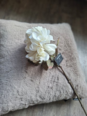 Zijdebloem witte bloem