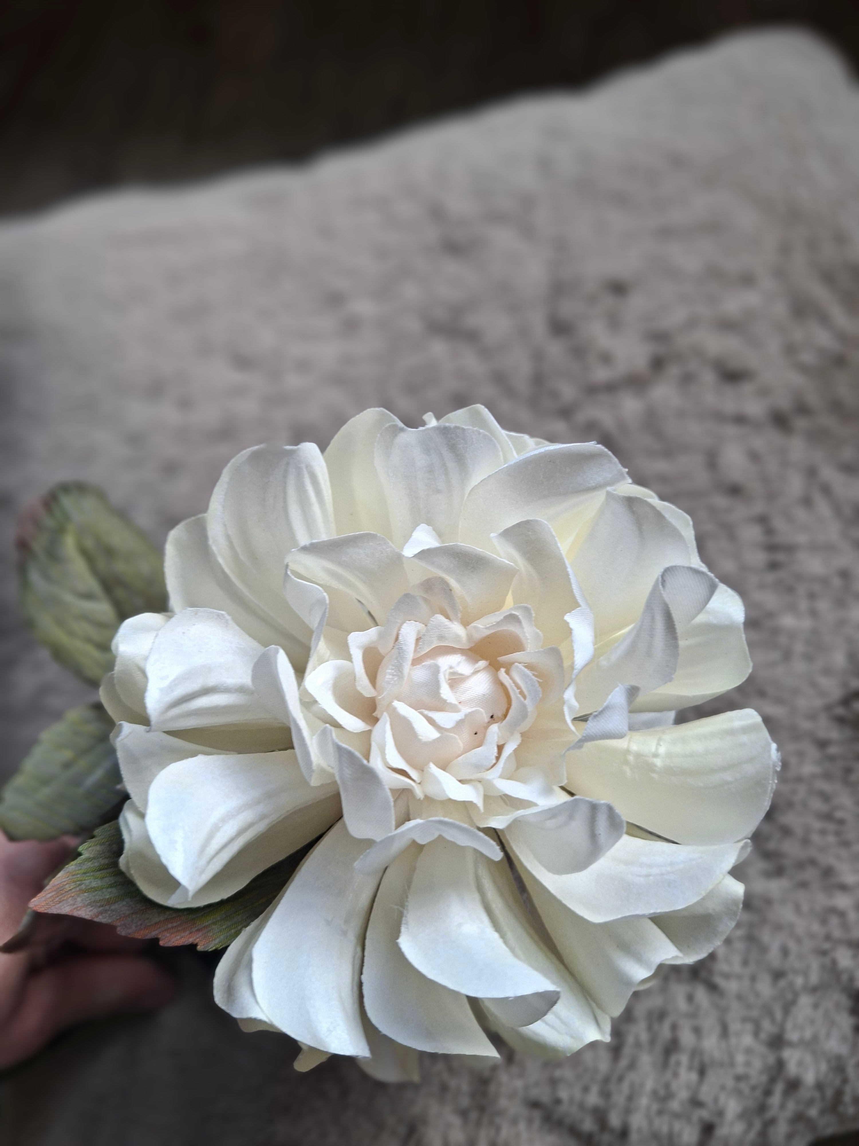 Zijdebloem witte bloem