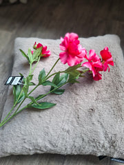Zijdebloem met roze bloemen