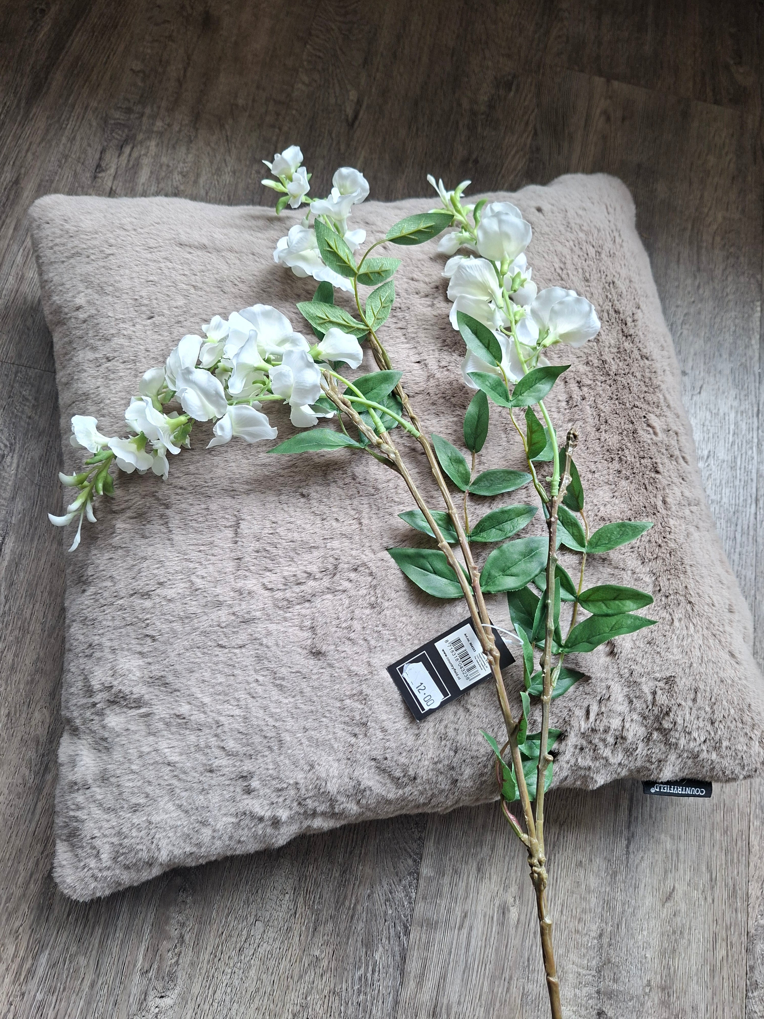 Zijdebloem witte hangbloem