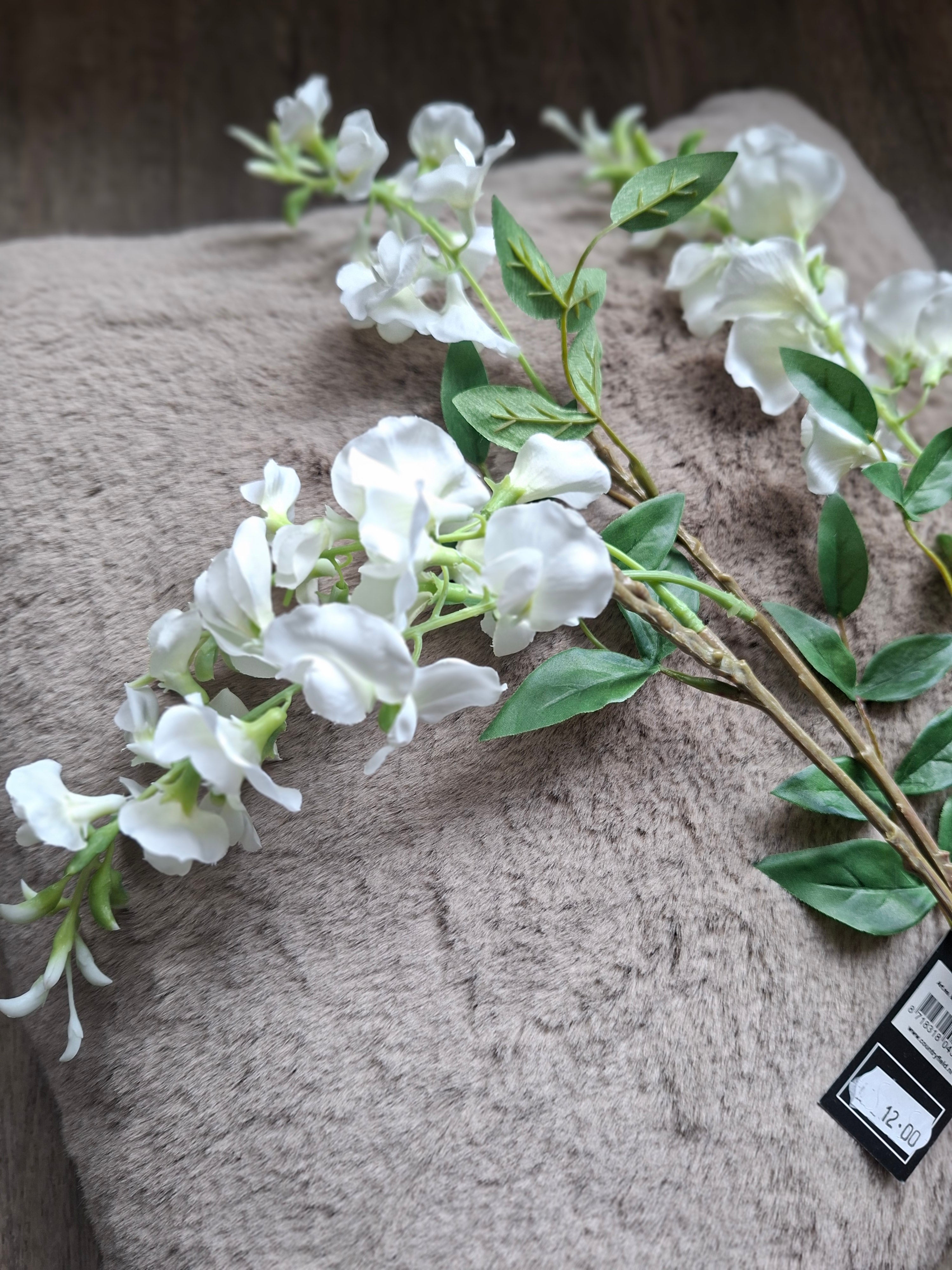Zijdebloem witte hangbloem