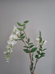 Zijdebloem witte hangbloem
