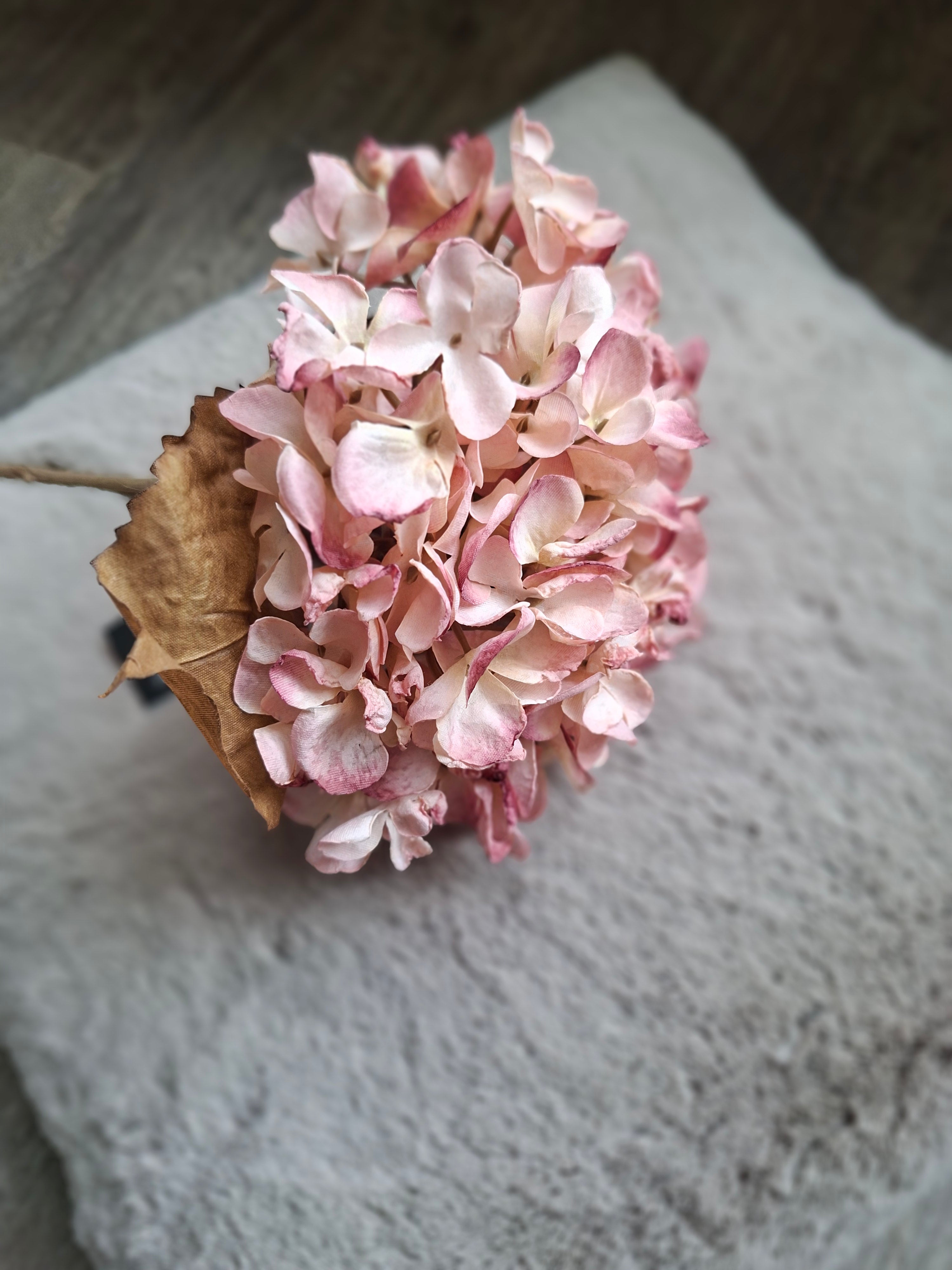 Zijdebloem oud roze Hortensia
