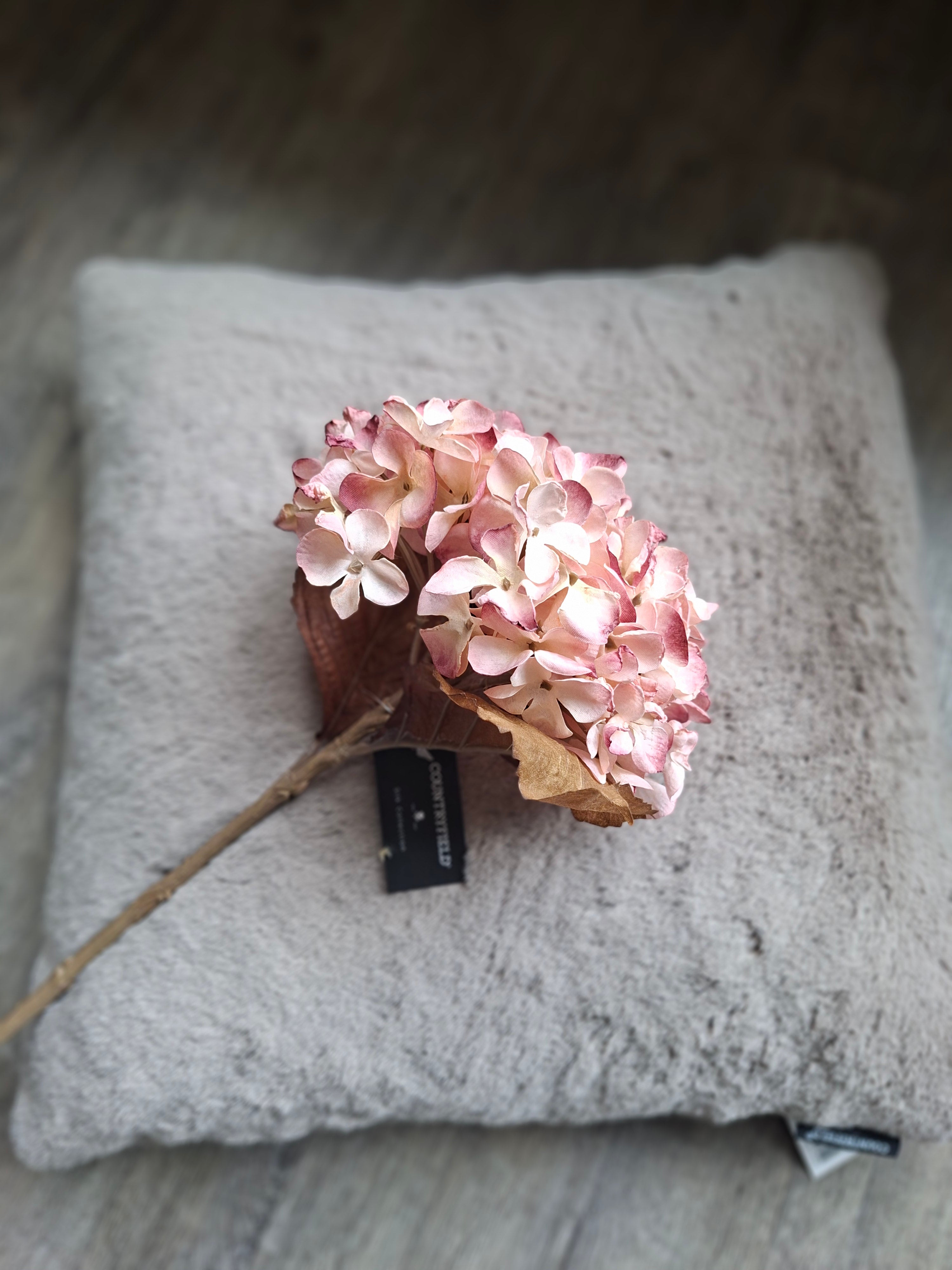 Zijdebloem oud roze Hortensia
