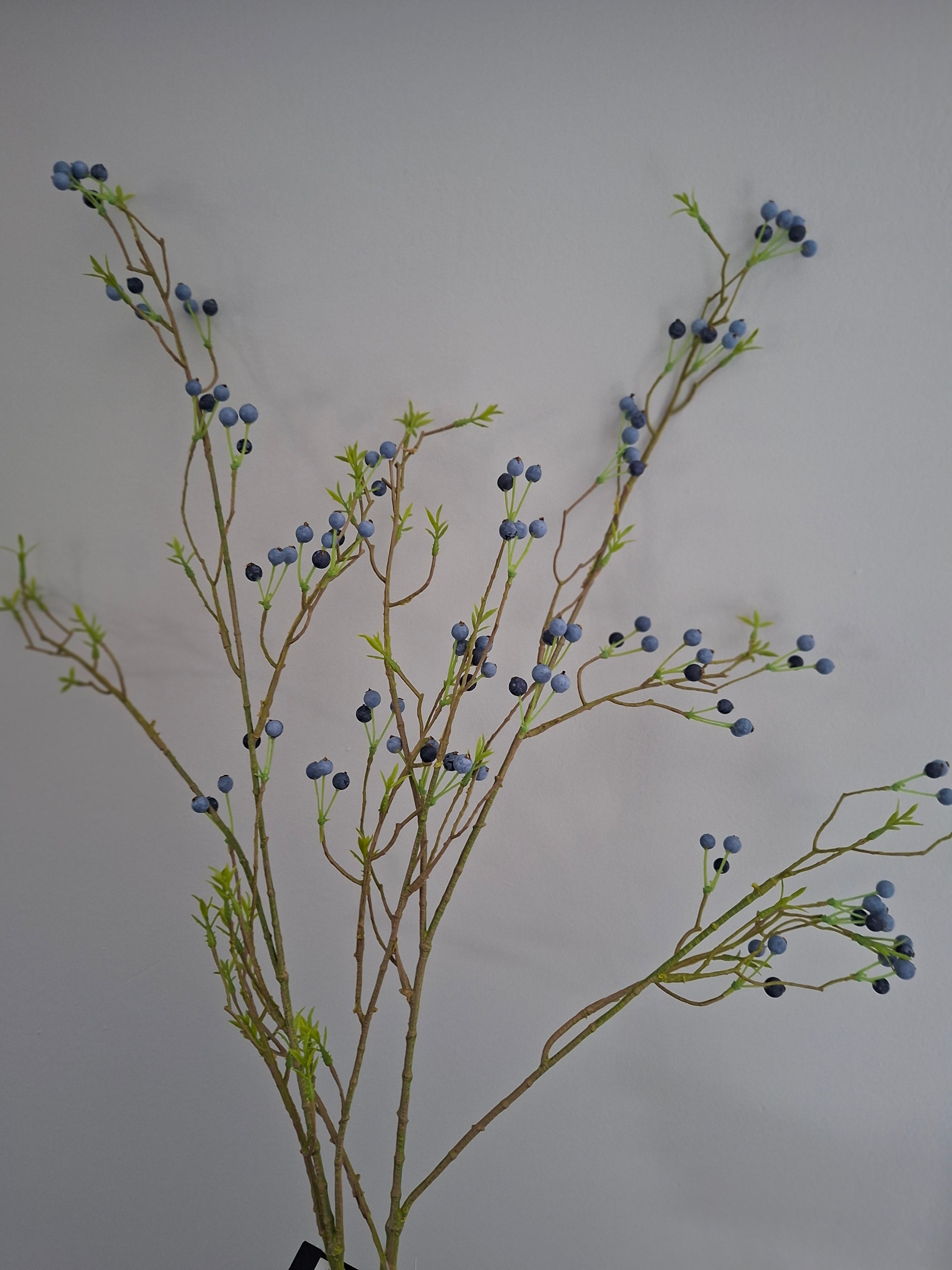 Zijdebloem blauwe bessentak