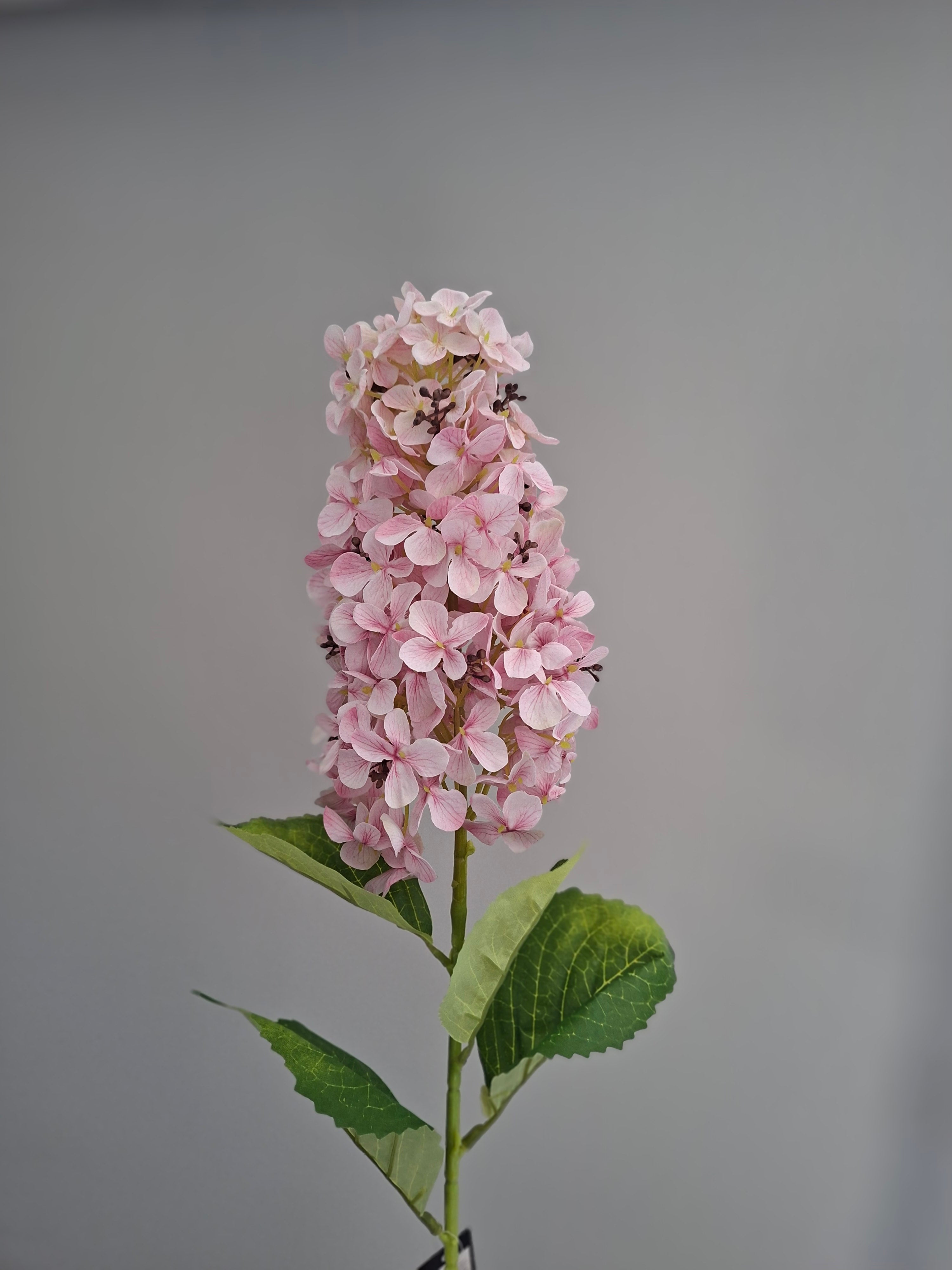 Zijdebloemen Pluim Hortensia roze