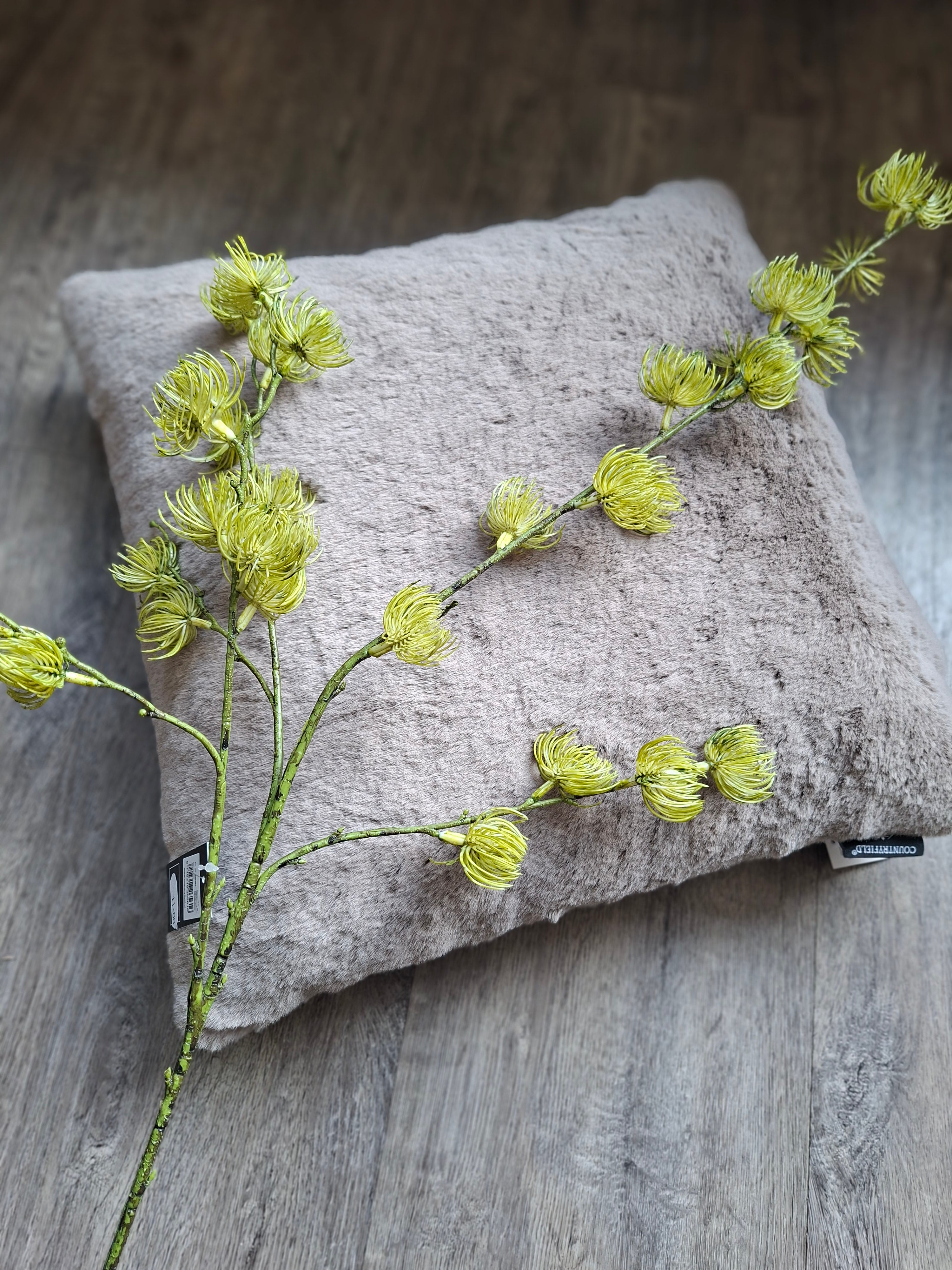 Zijdebloem groen (speldenkussenrotea)