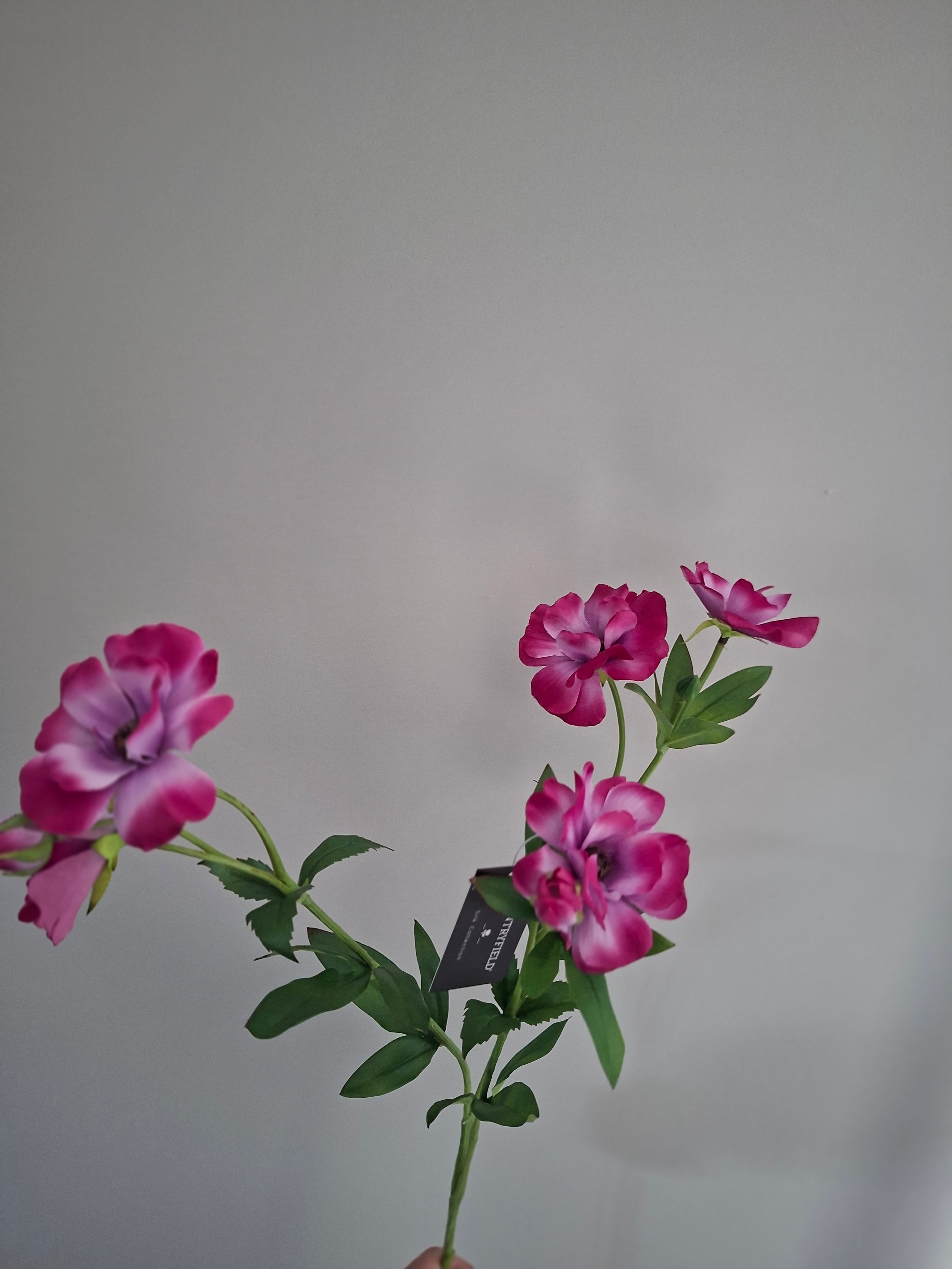 Zijdebloemen roze/witte bloemen