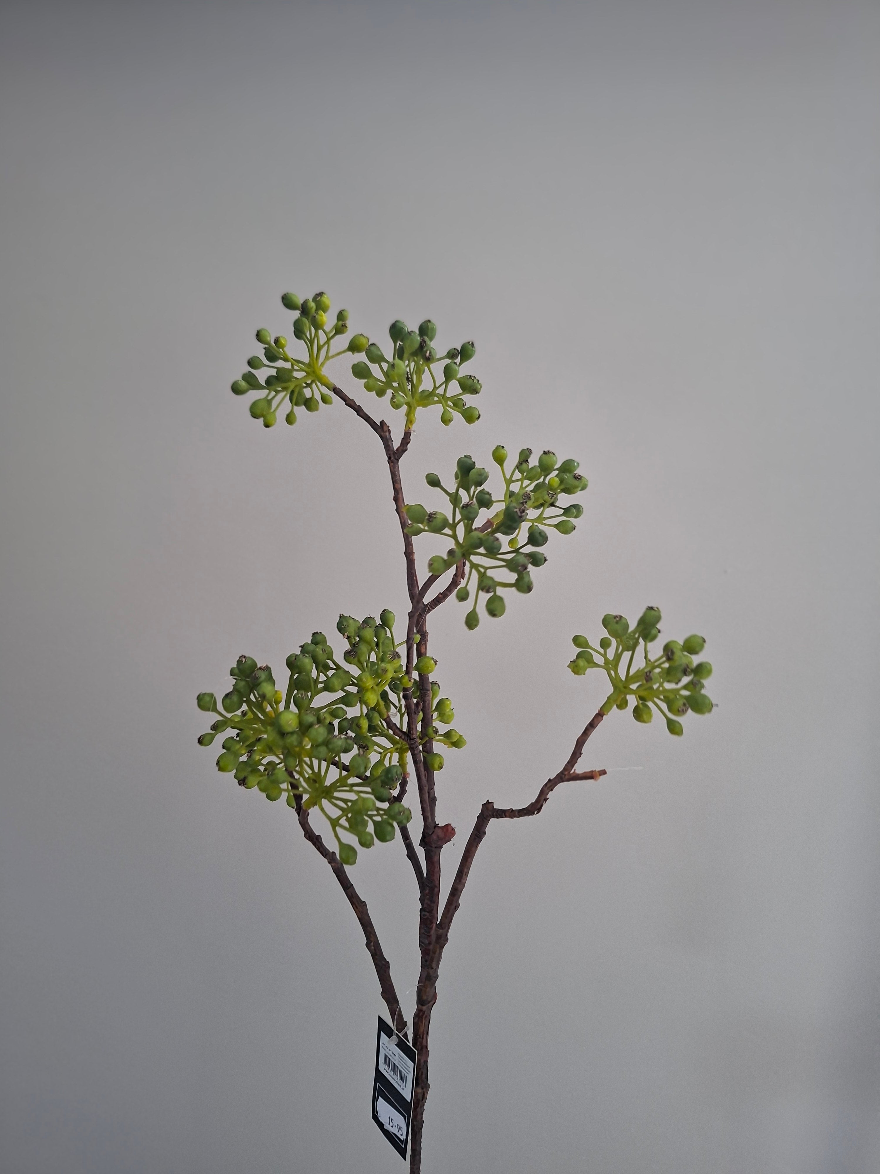 Zijdebloemen groene bolletjes