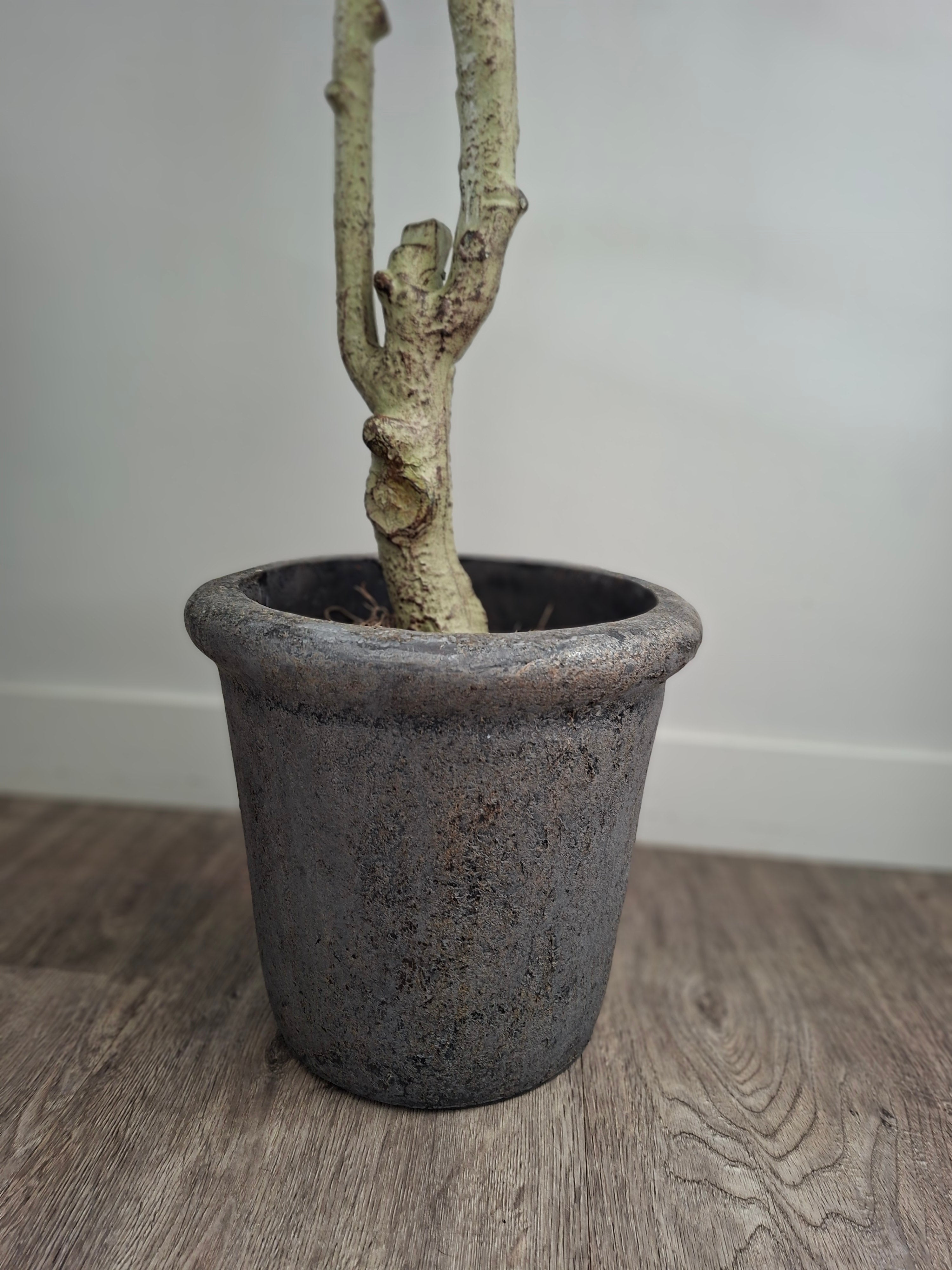 Donker grijze pot met een kleine dikkere rand