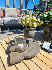 Gypsophilia White