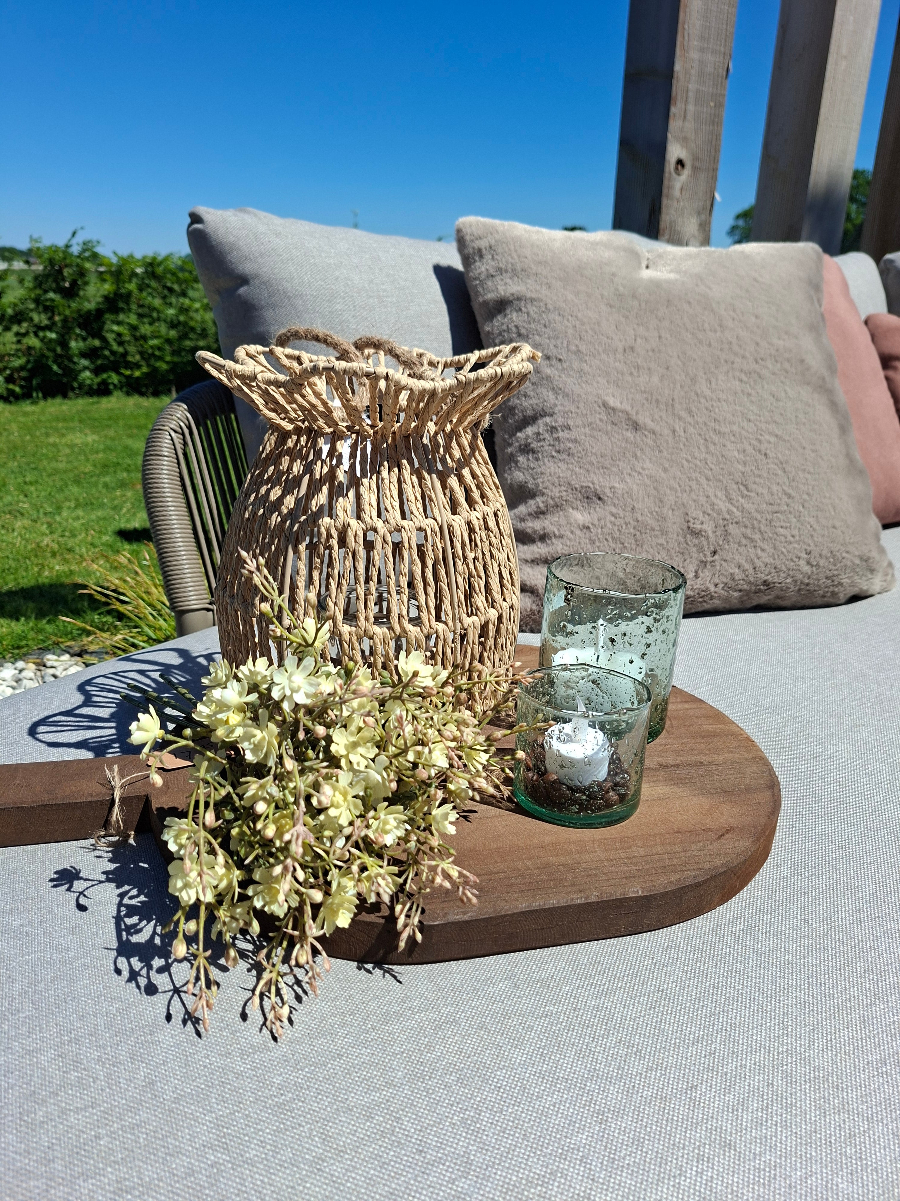 Gypsophilia White
