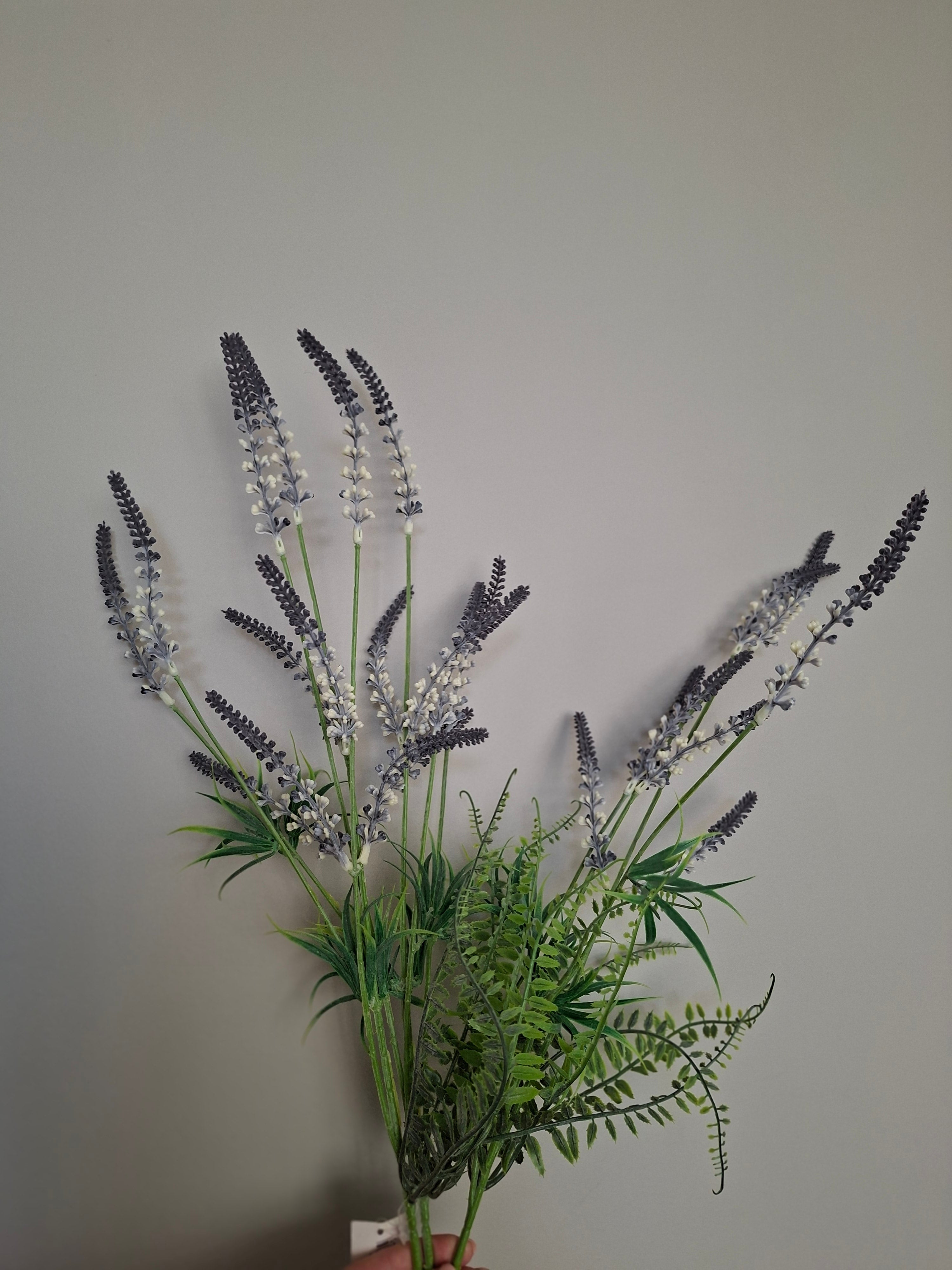 Lavendel