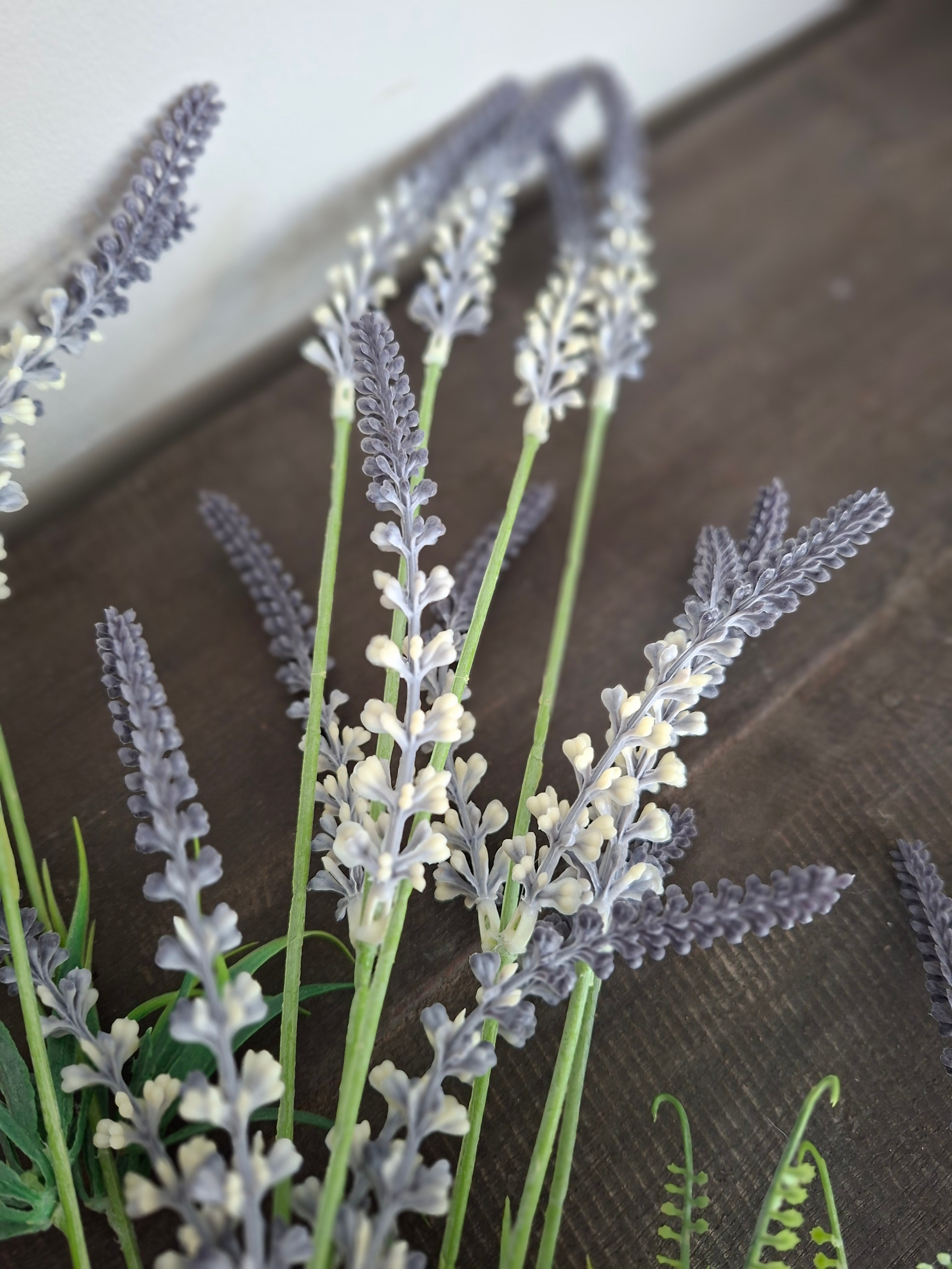 Lavendel