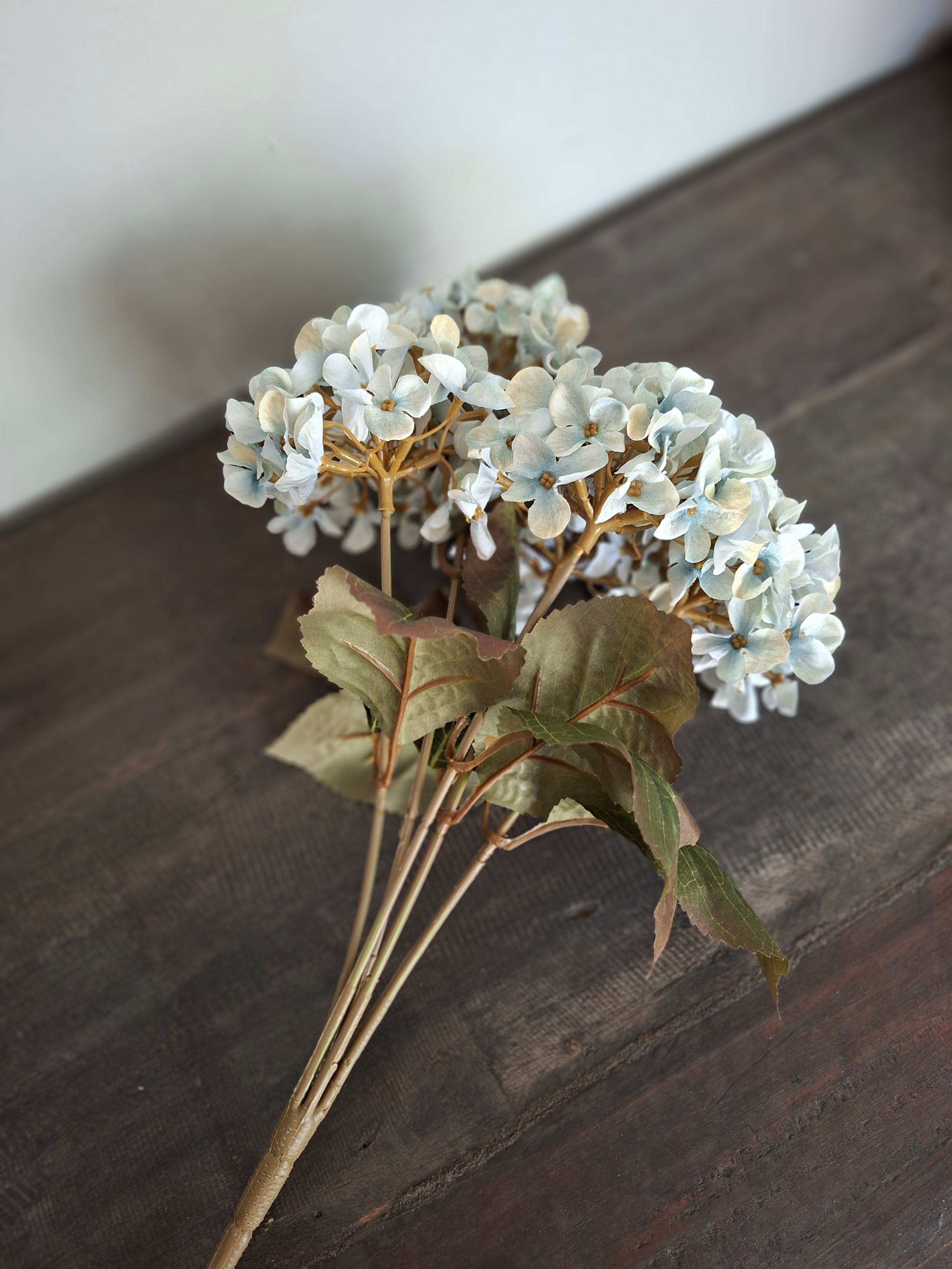 Prachtige blauwe hortensia kort