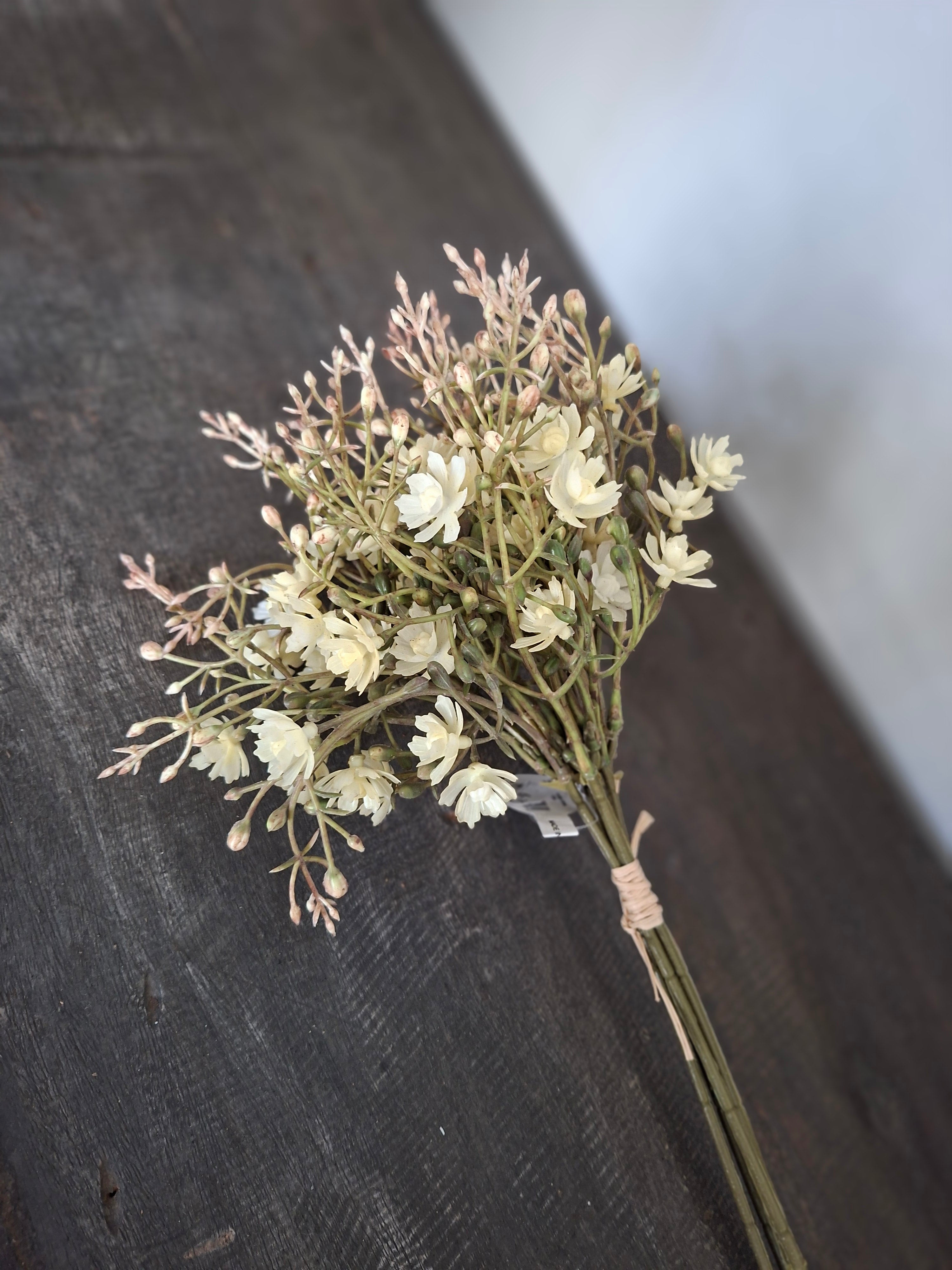 Gypsophilia White