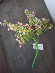 Gipskruid oud roze