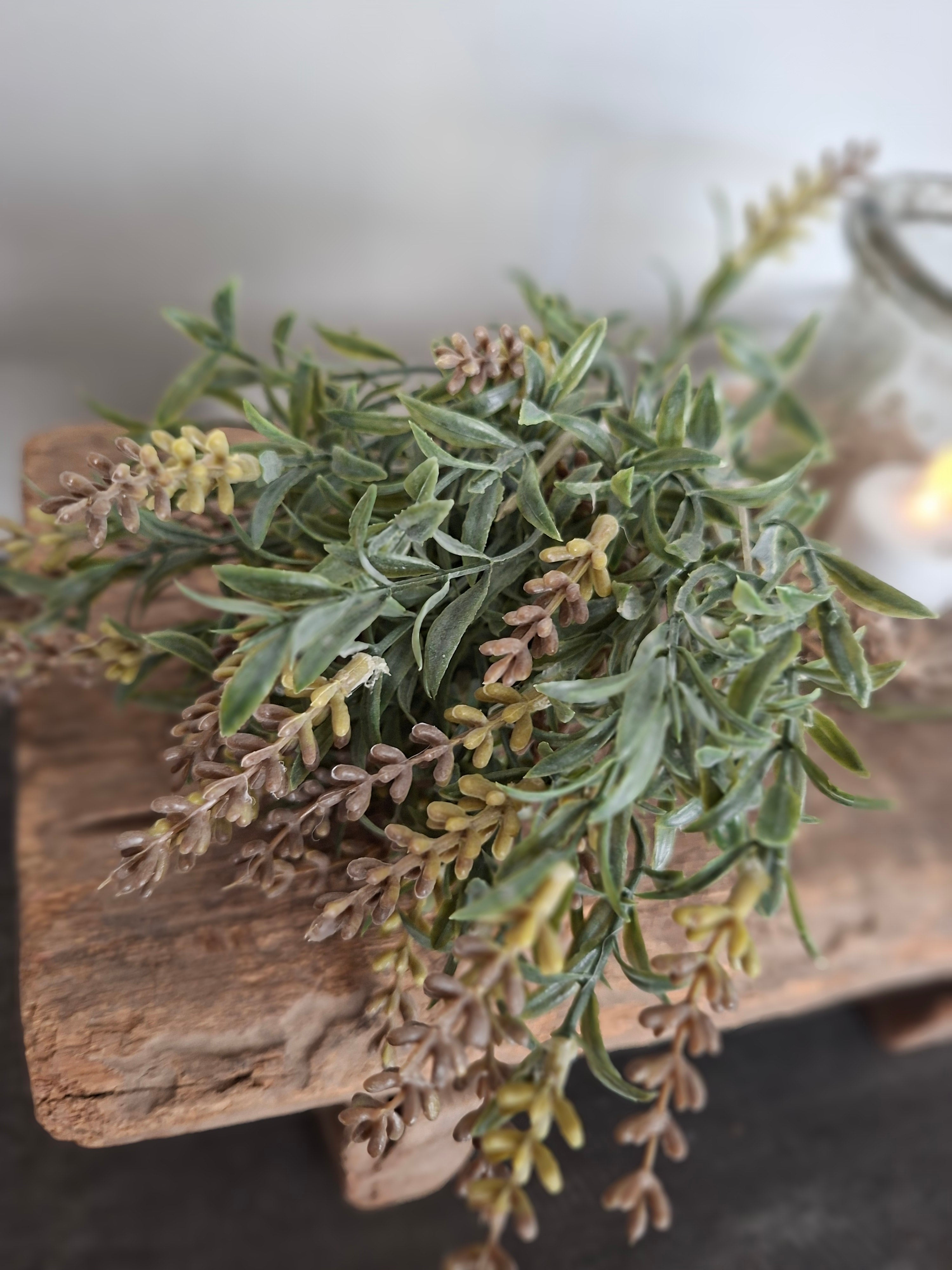 Lavendel grijs kort