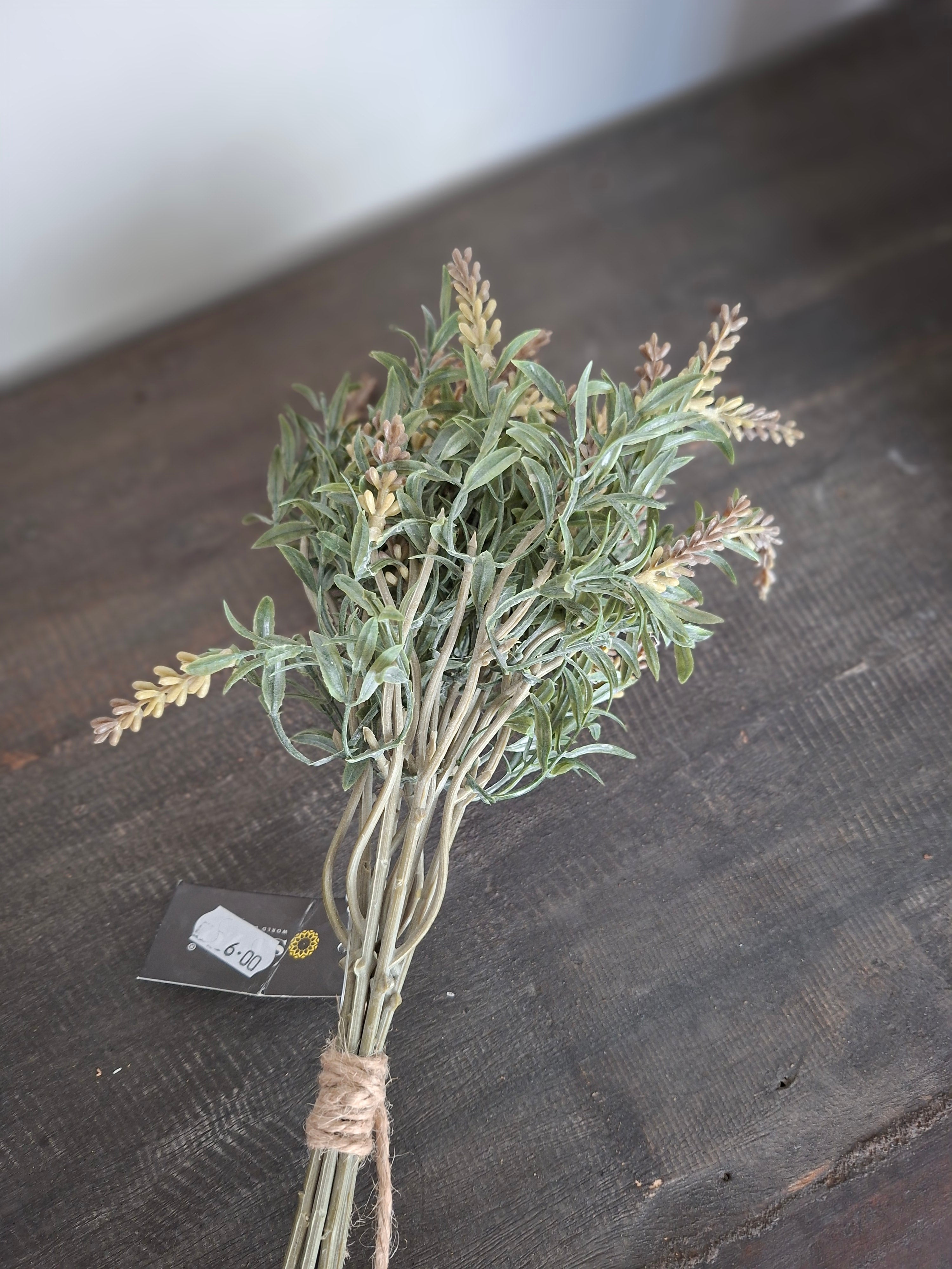 Lavendel grijs kort