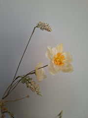 Wild flower assorti 11