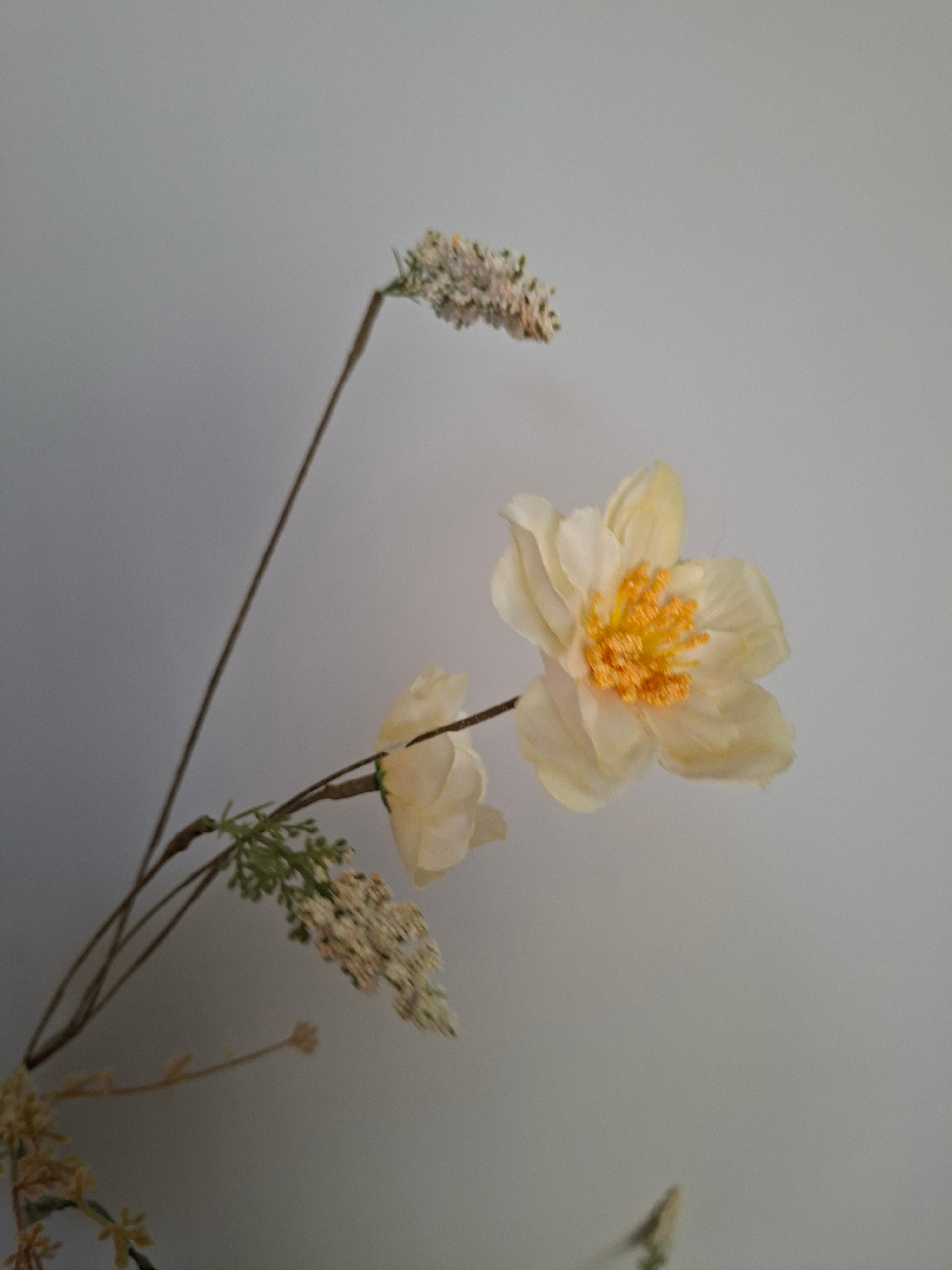 Wild flower assorti 11