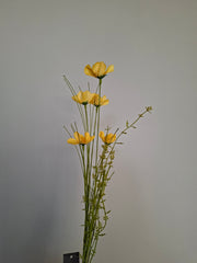 Wild flower assorti