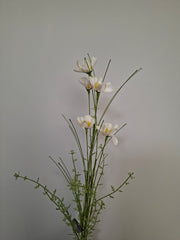Wild flower assorti 16