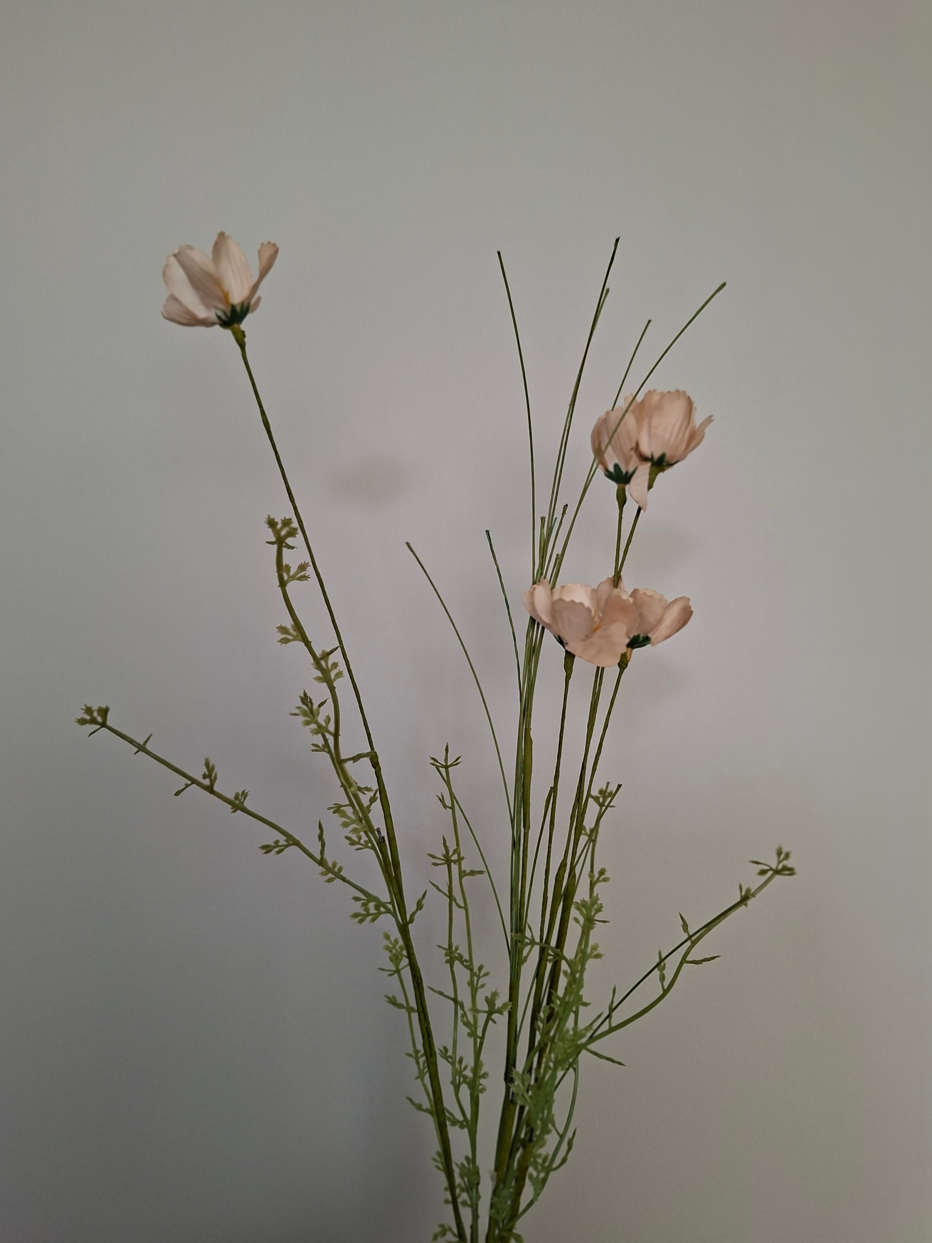 Wild flower assorti 18
