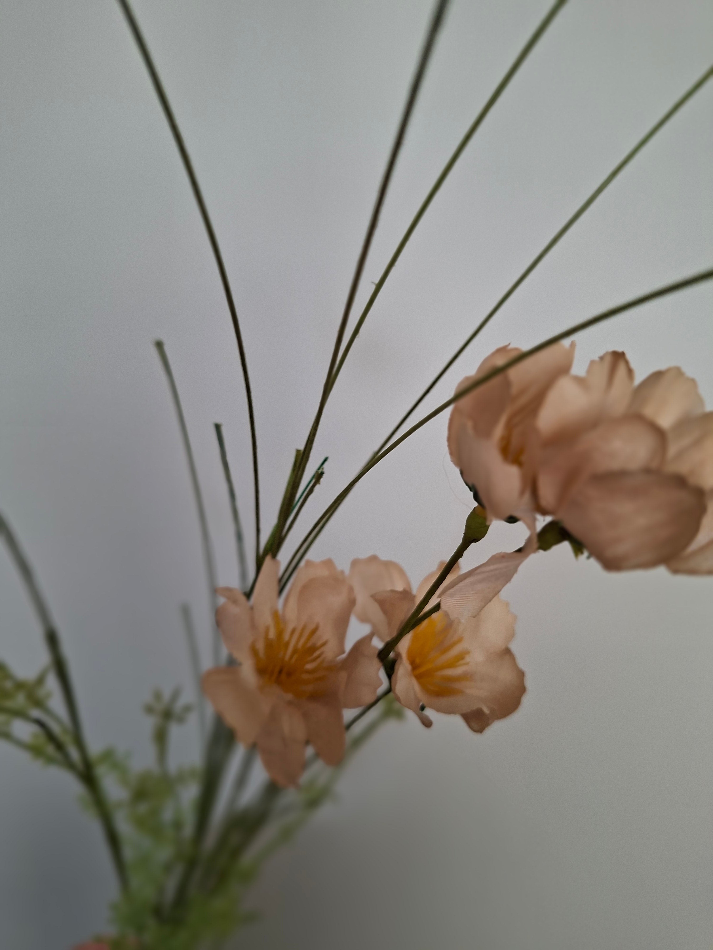 Wild flower assorti 18