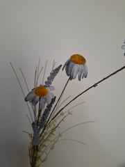 Wild flower assorti 4