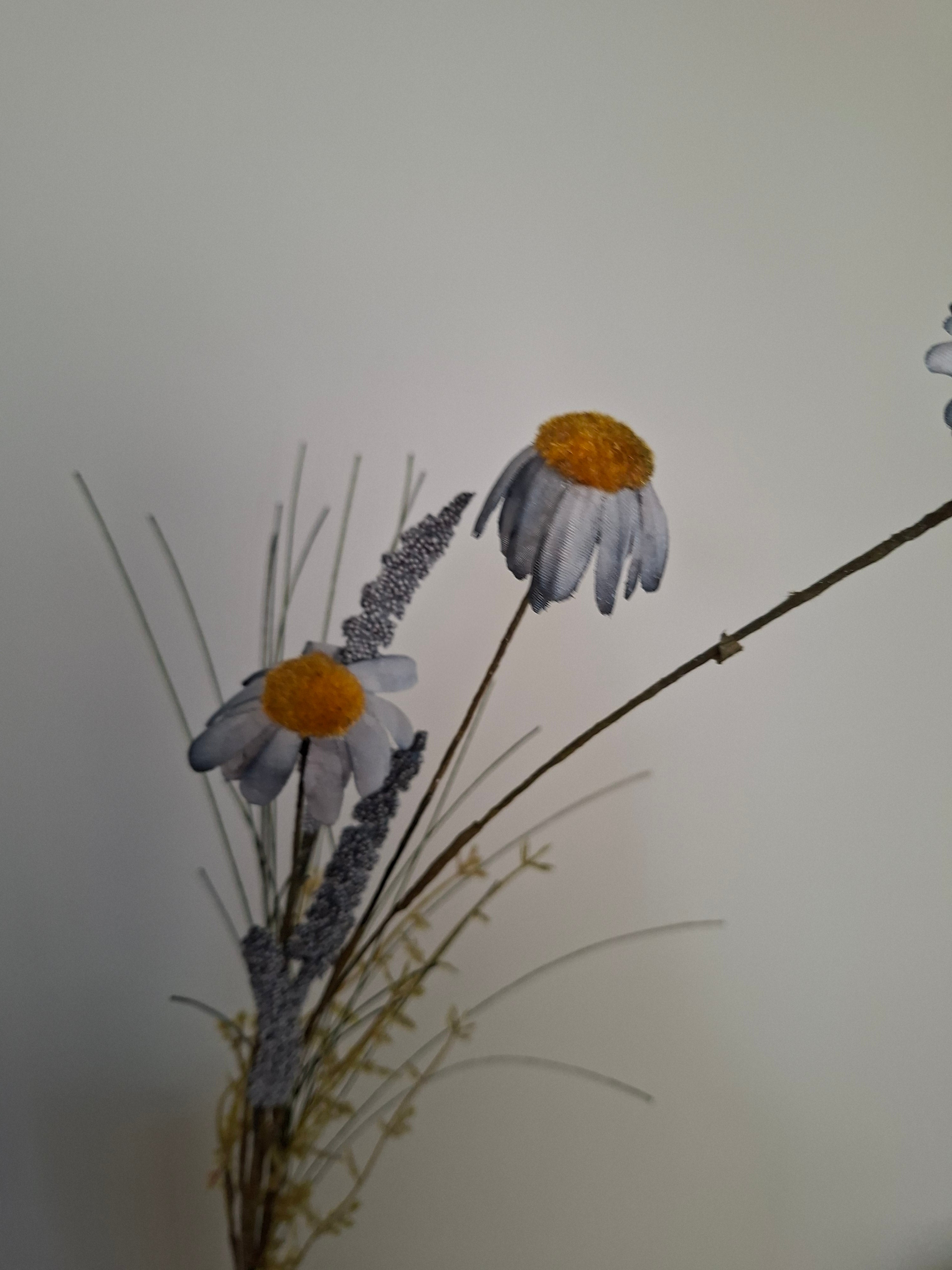 Wild flower assorti 4