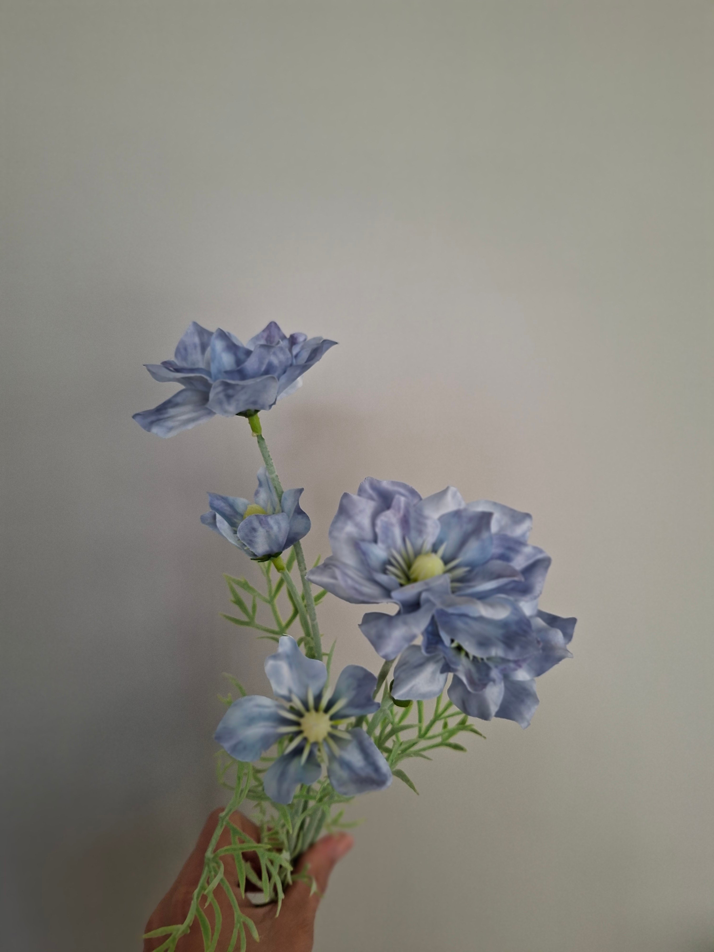 Lotus blue