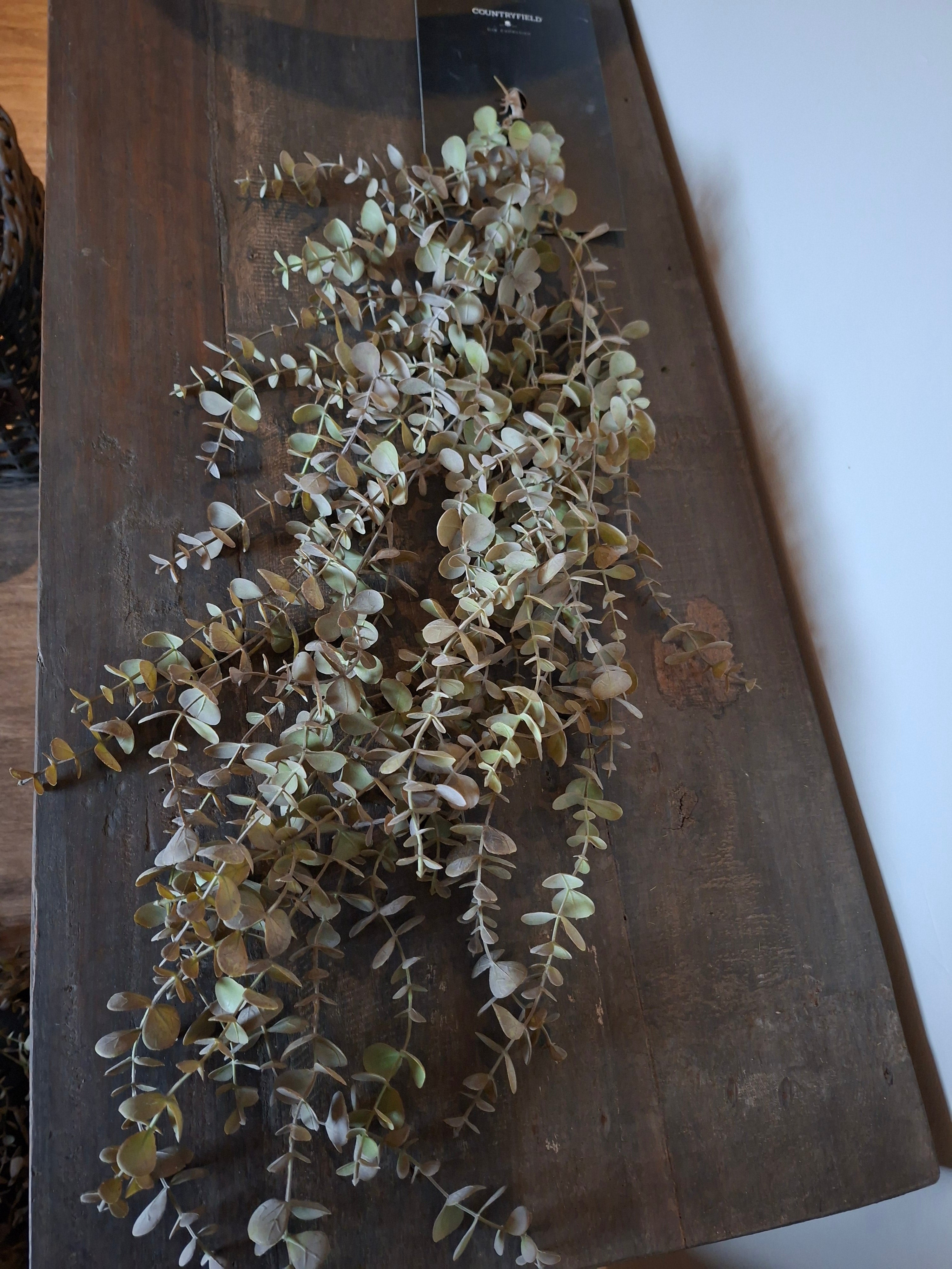 Lange hangplant groen/grijs