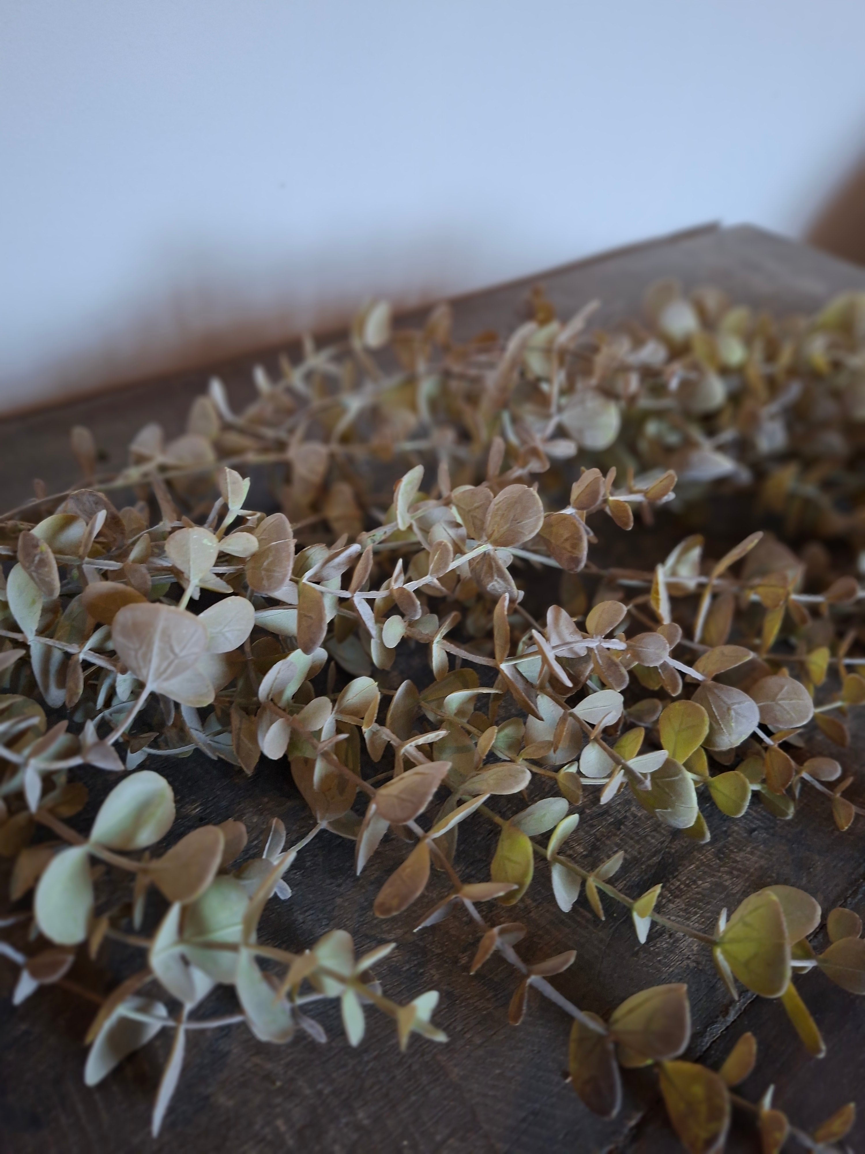 Lange hangplant groen/grijs