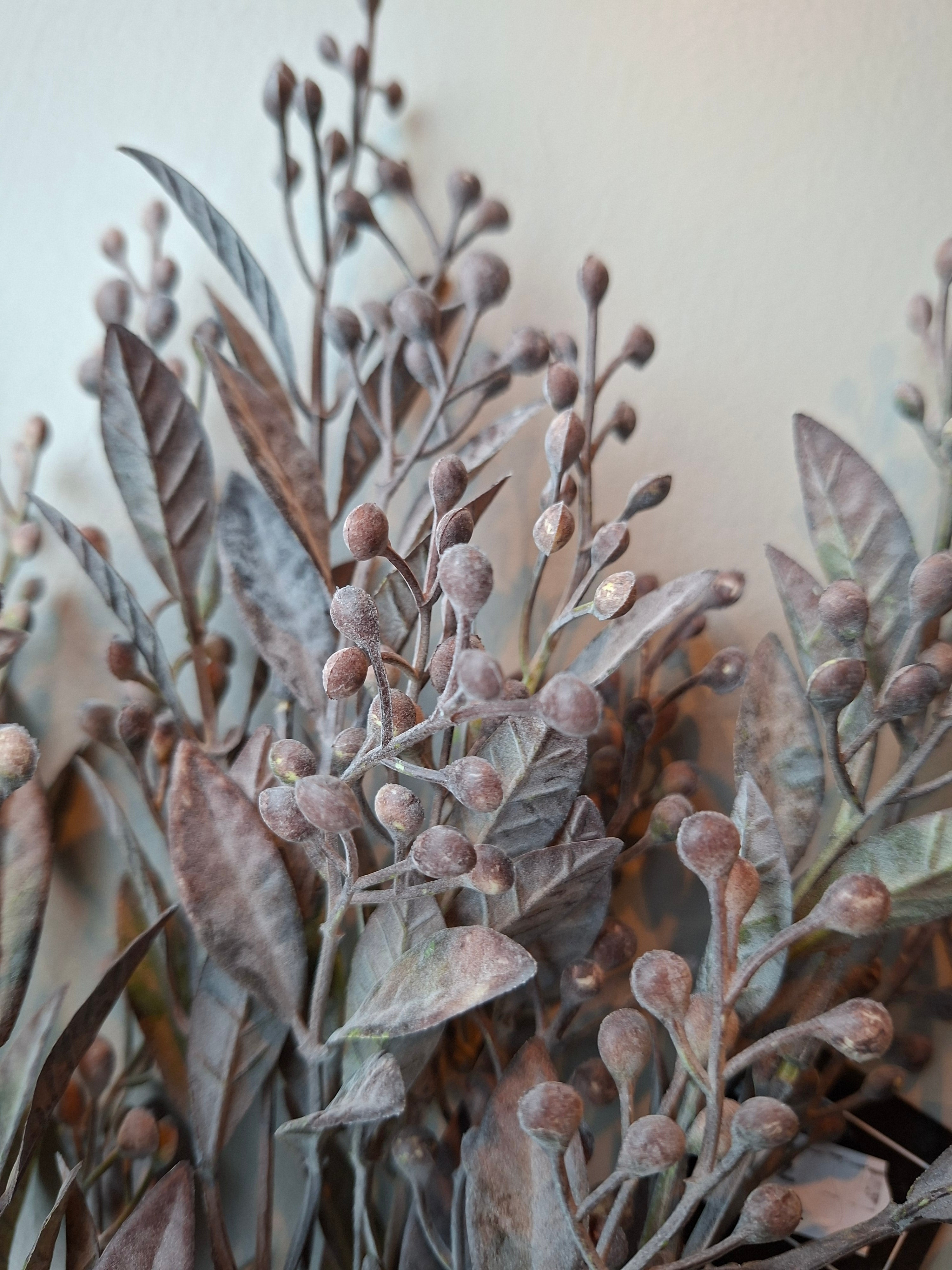 Korte decoratietak donker grijs met grote bes