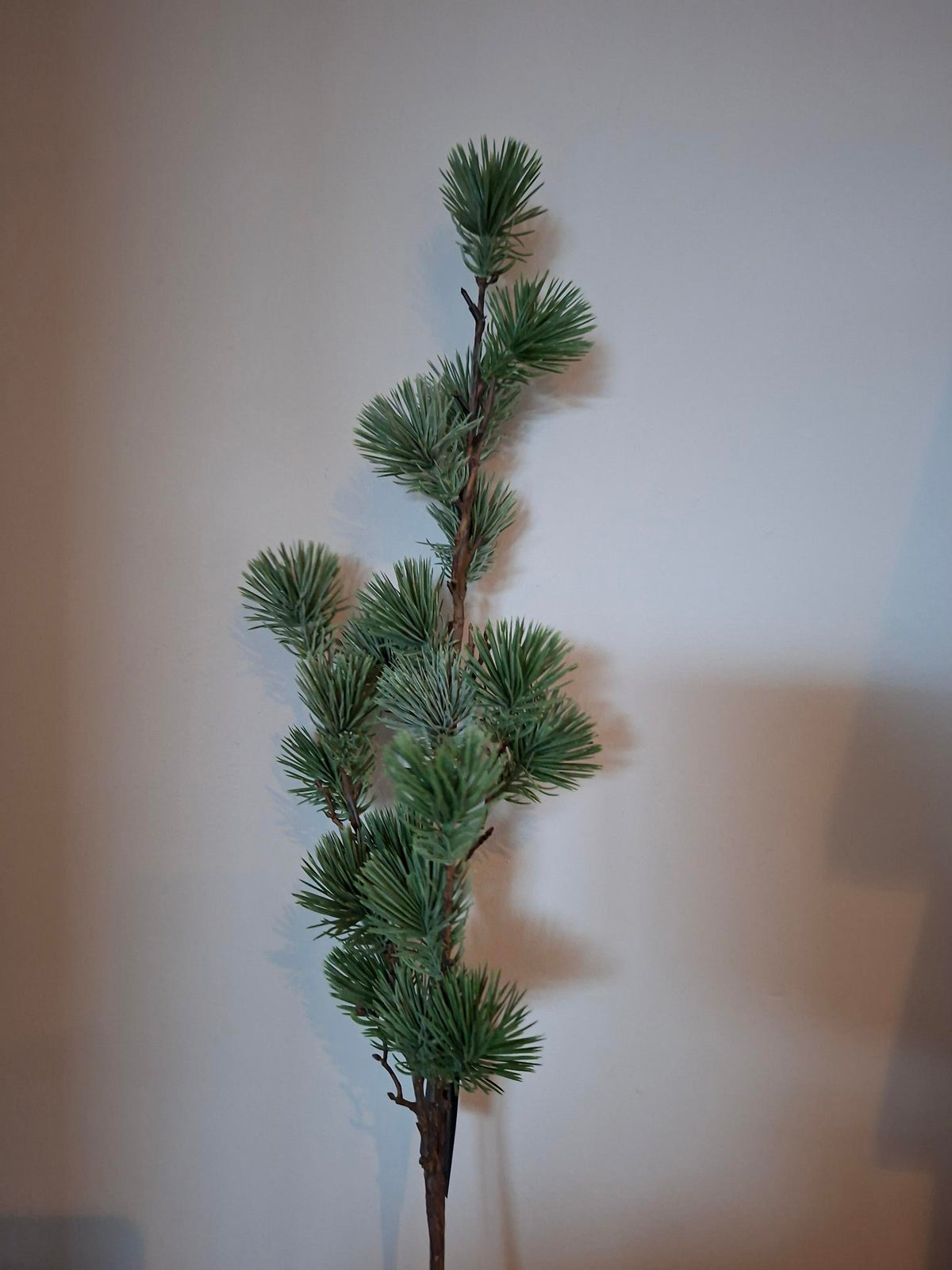 Kersttak lang