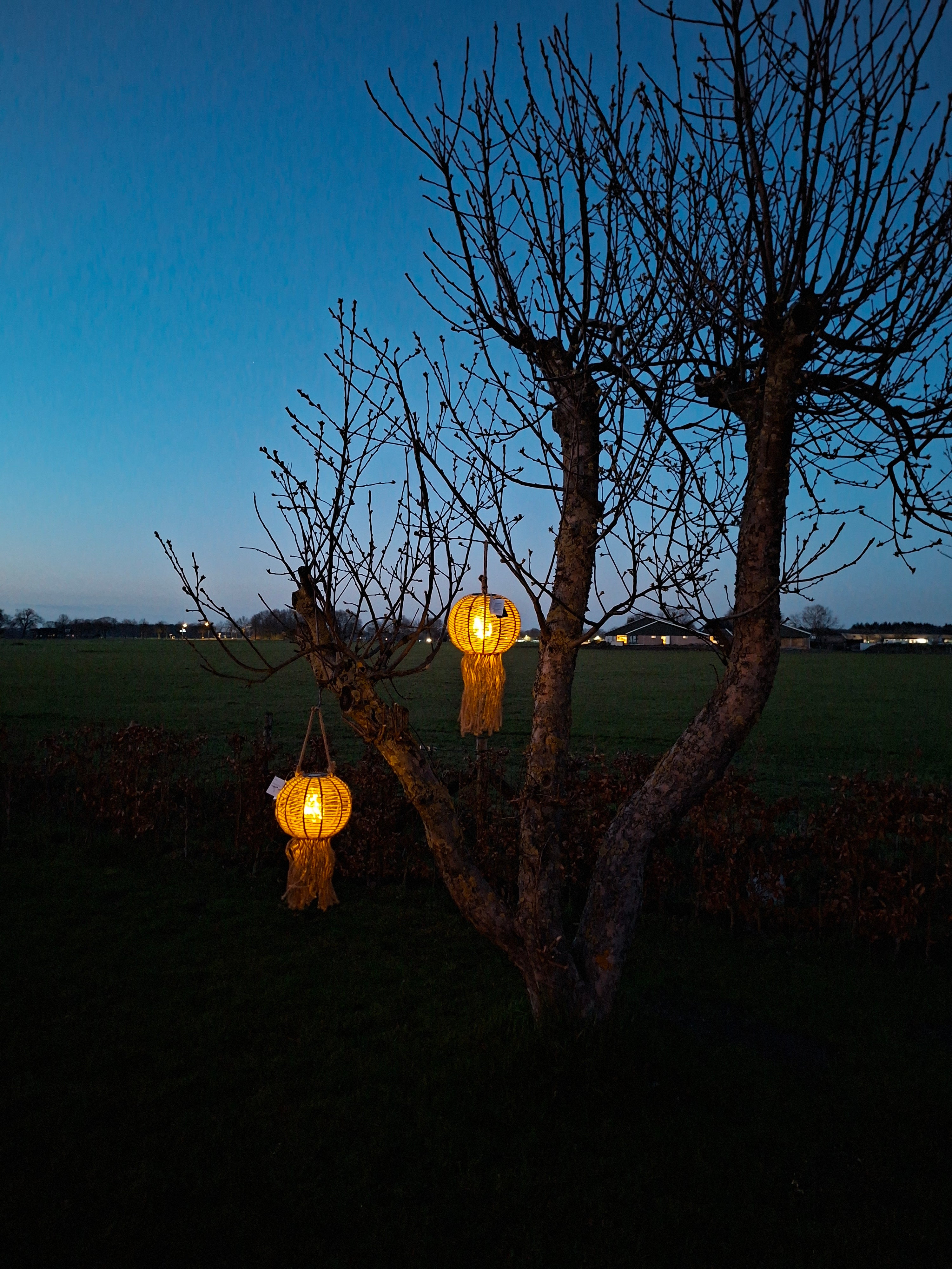 Solar lamp