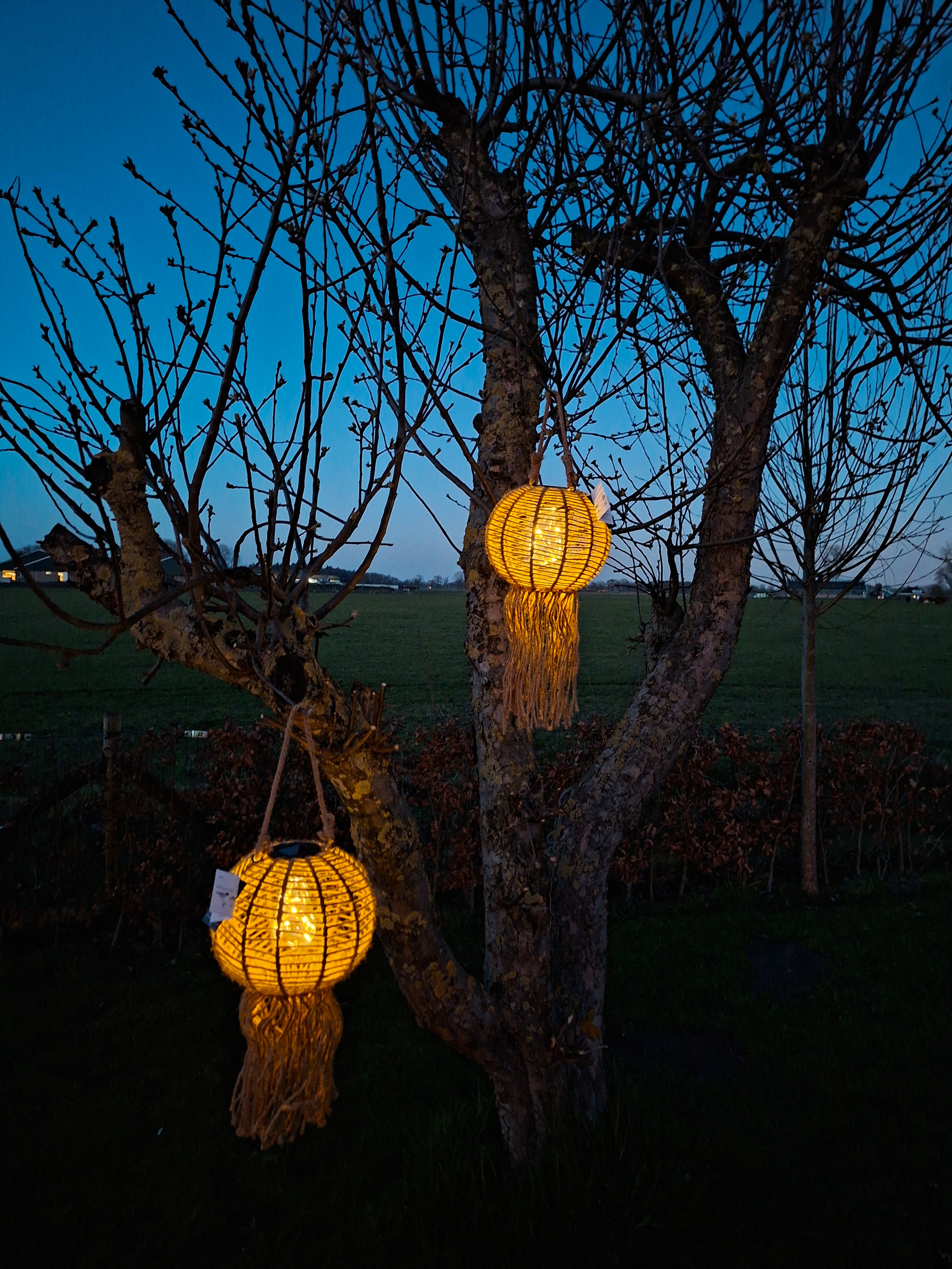 Solar lamp